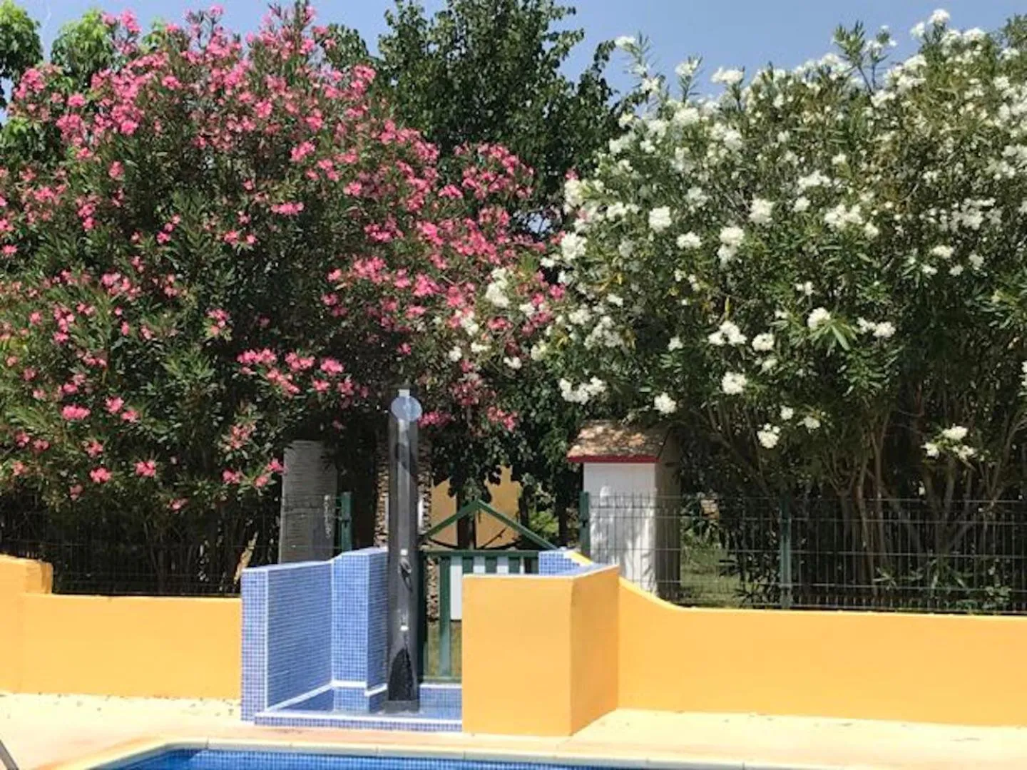Garden view in Résidence les Caraibes