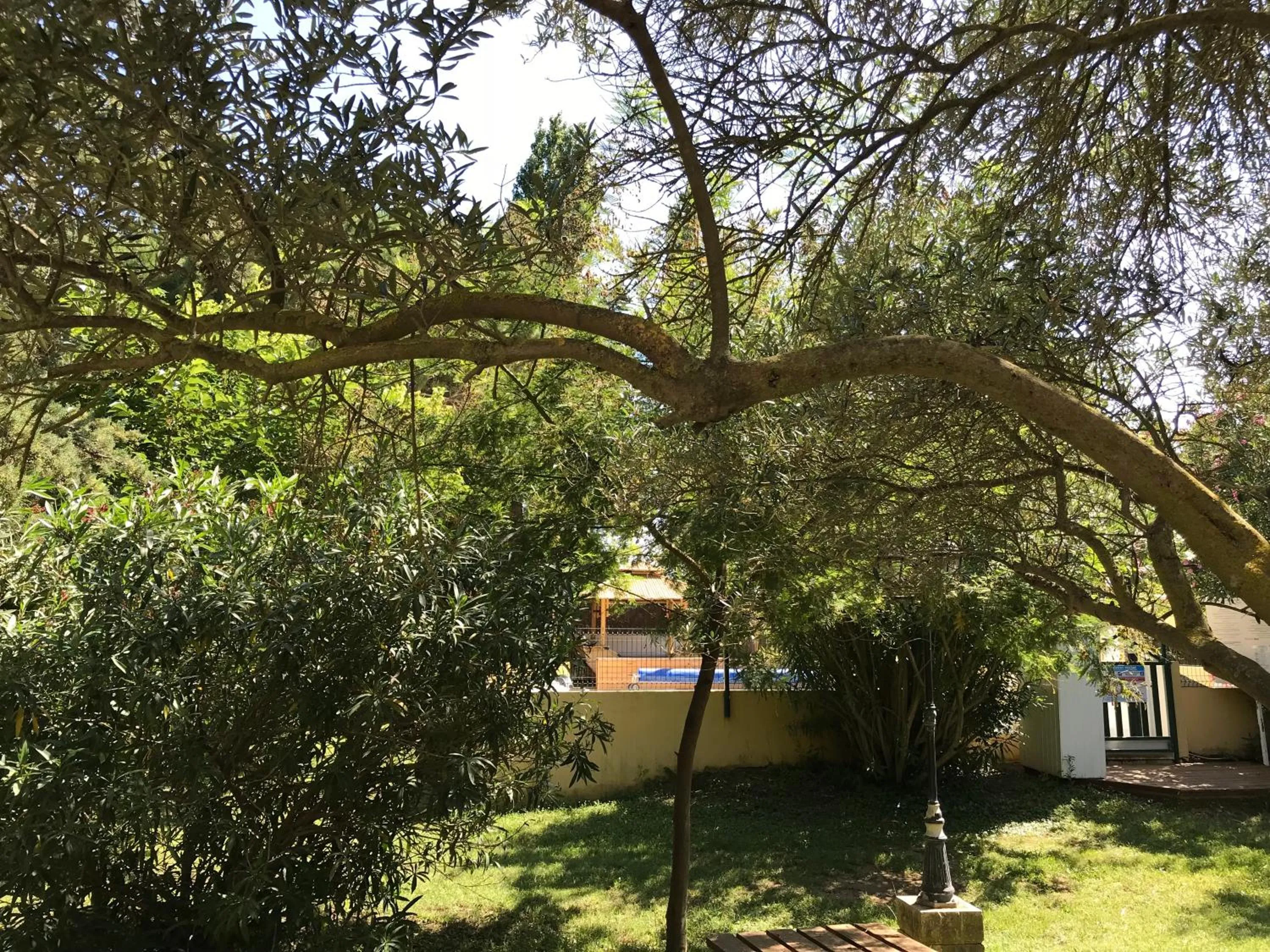 Garden in Résidence les Caraibes