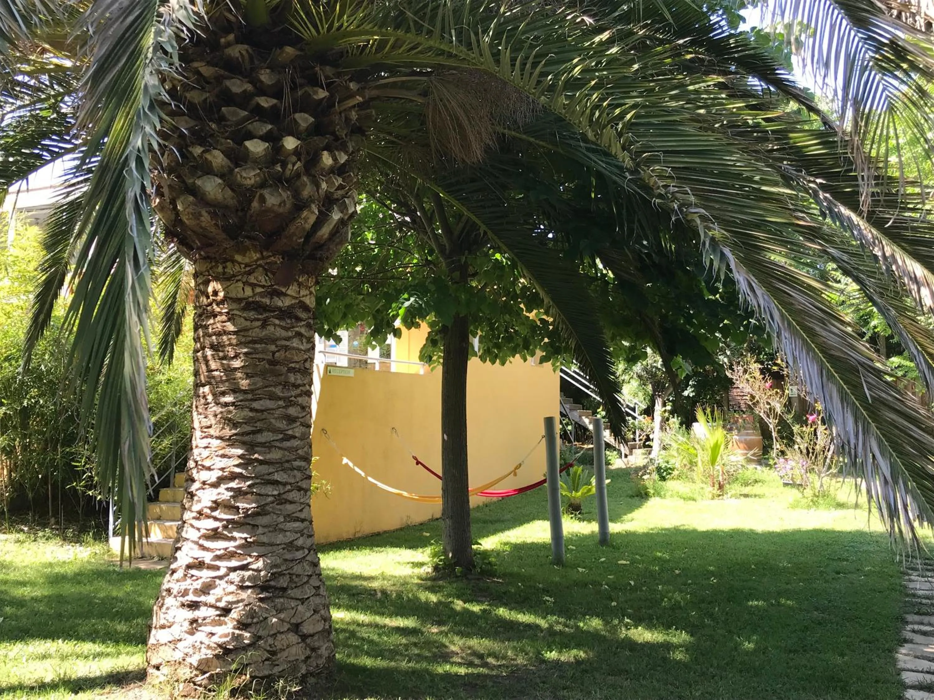 Garden view in Résidence les Caraibes