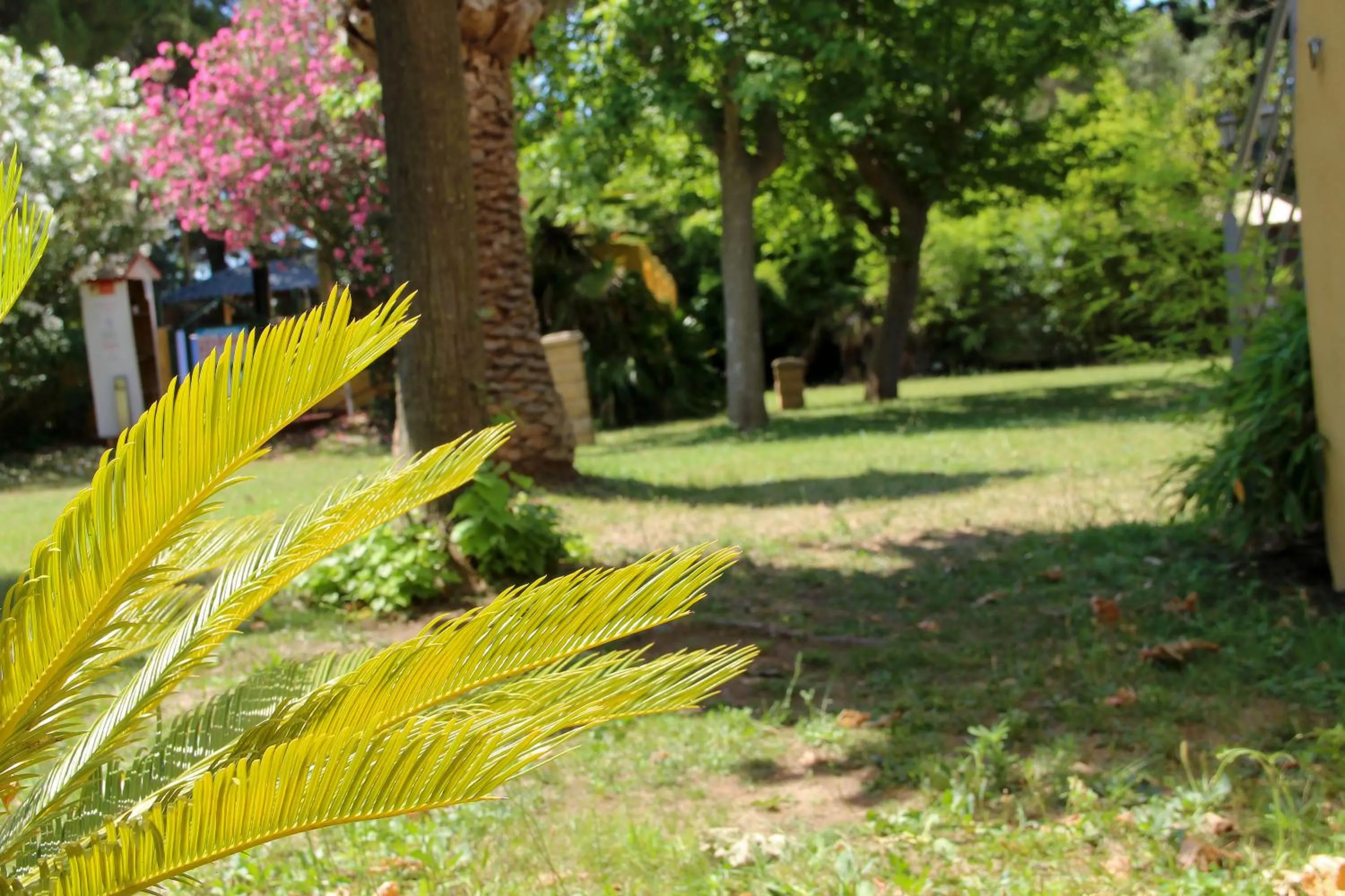 Garden view in Résidence les Caraibes