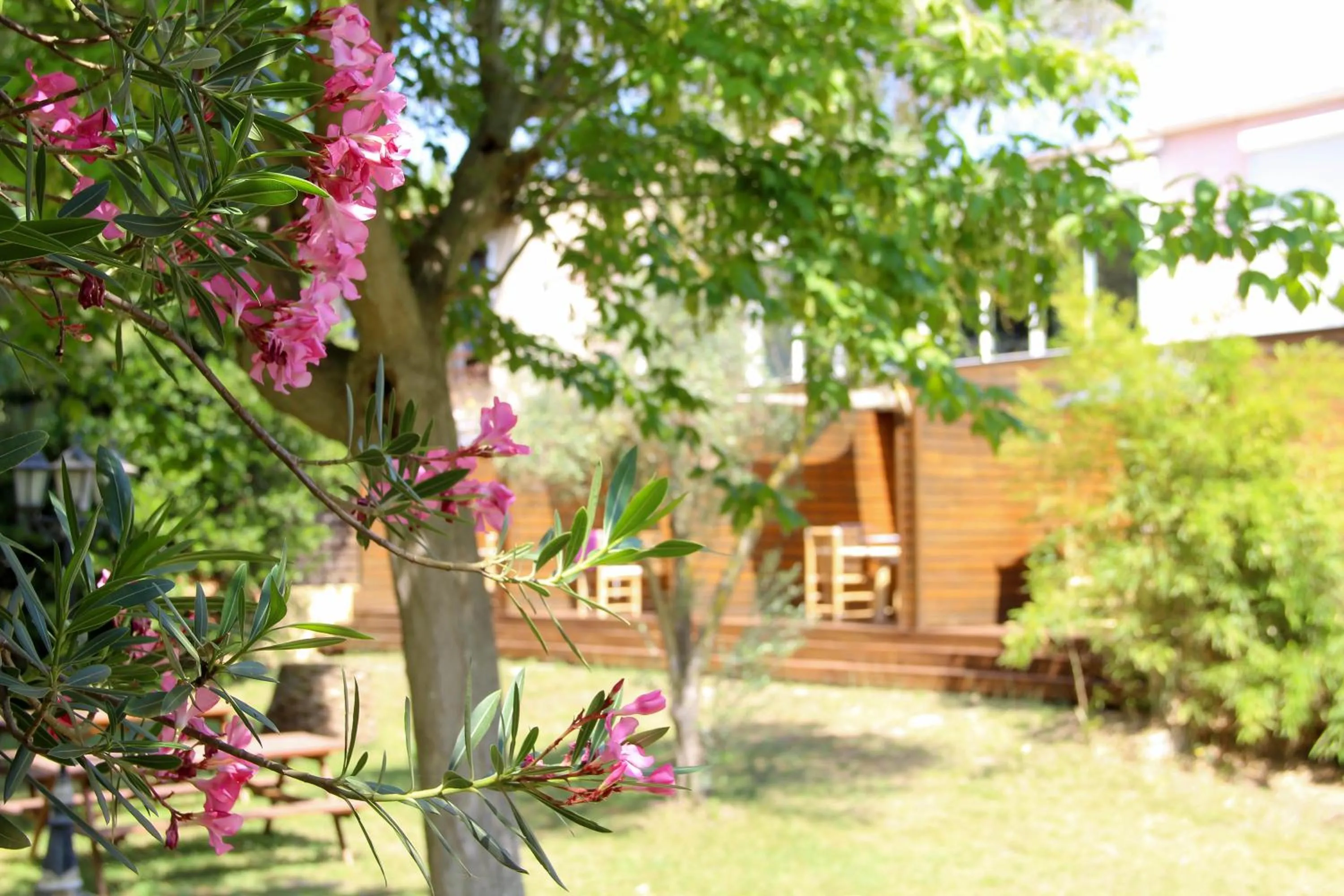 Property building in Résidence les Caraibes