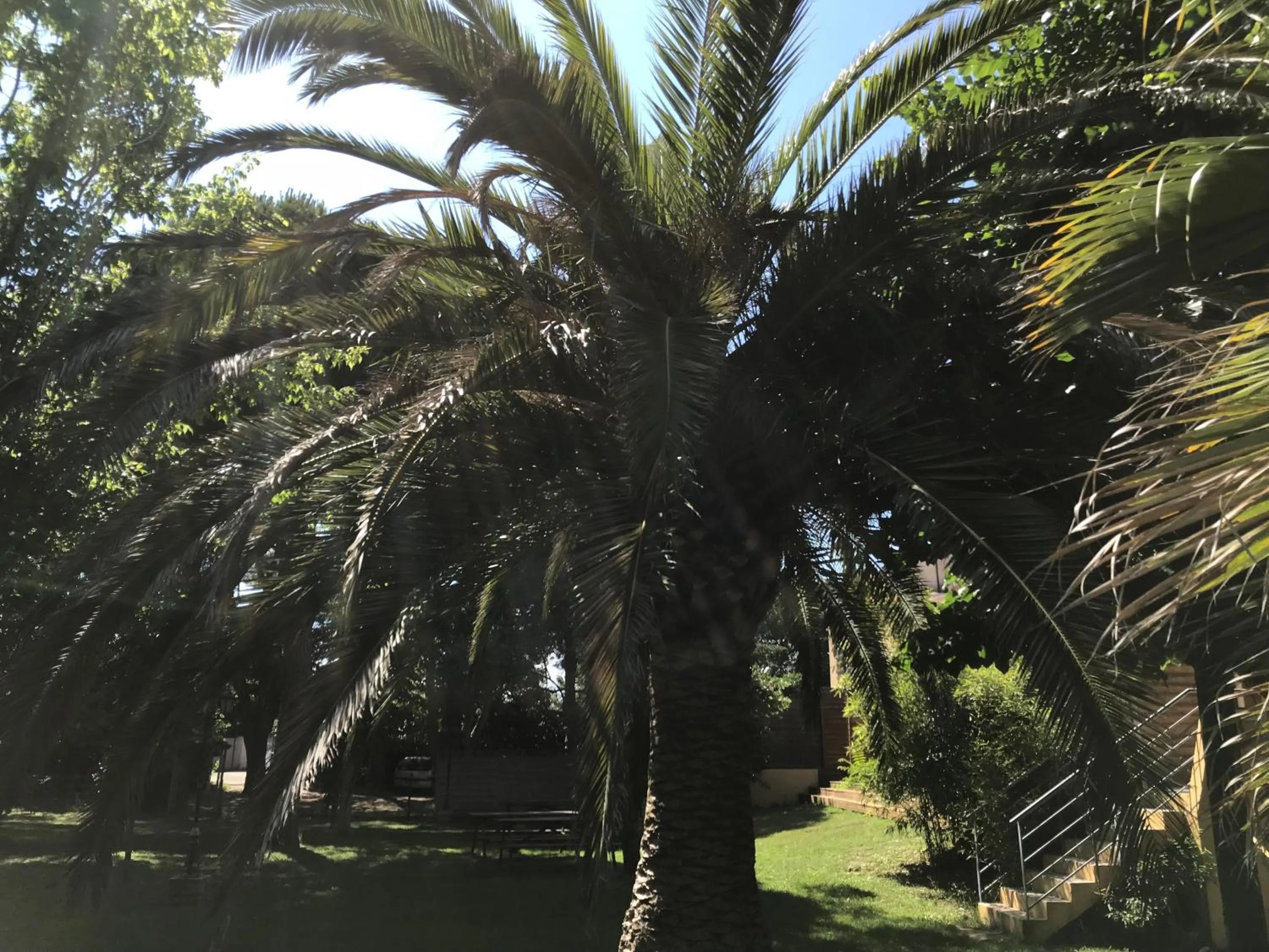 Garden view in Résidence les Caraibes