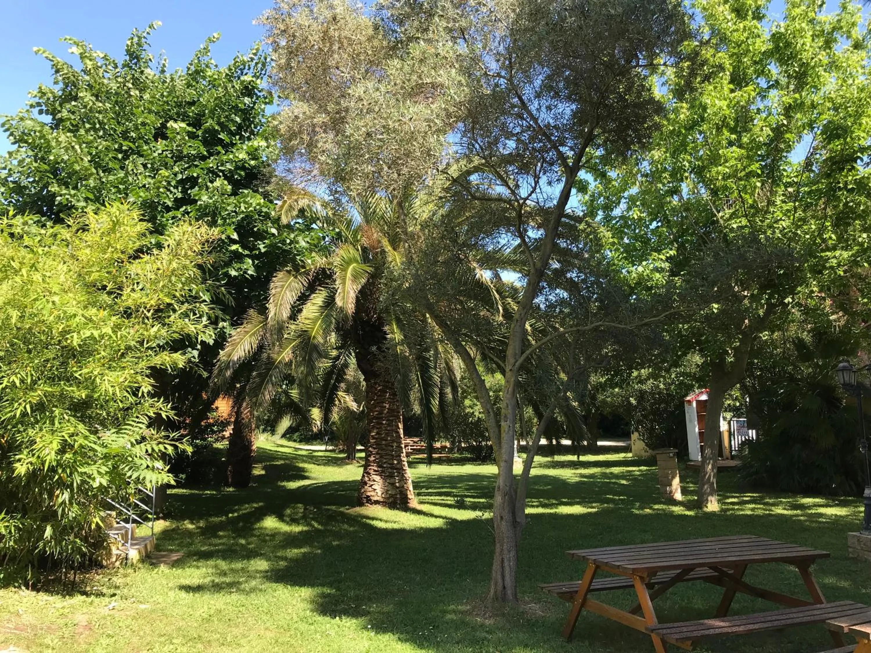 Garden in Résidence les Caraibes