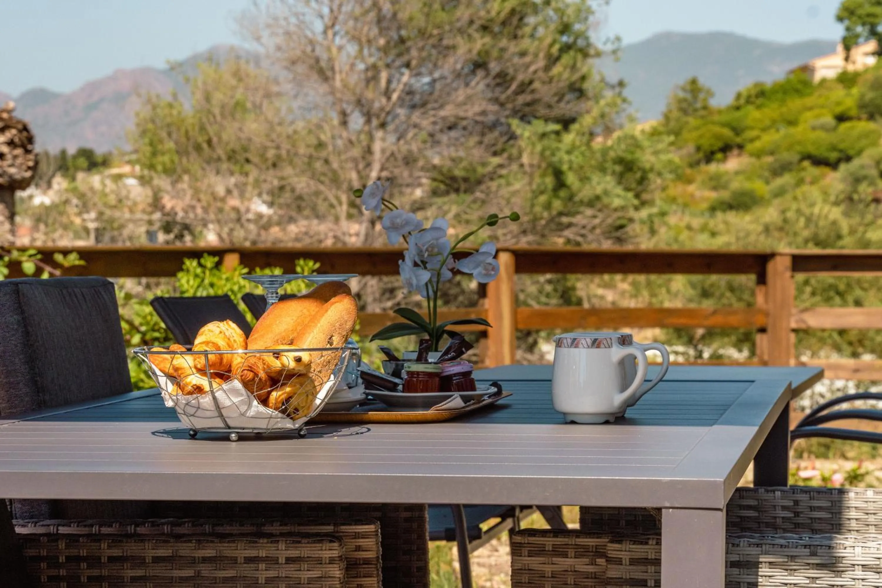 Continental breakfast in Hotel Hibiscus
