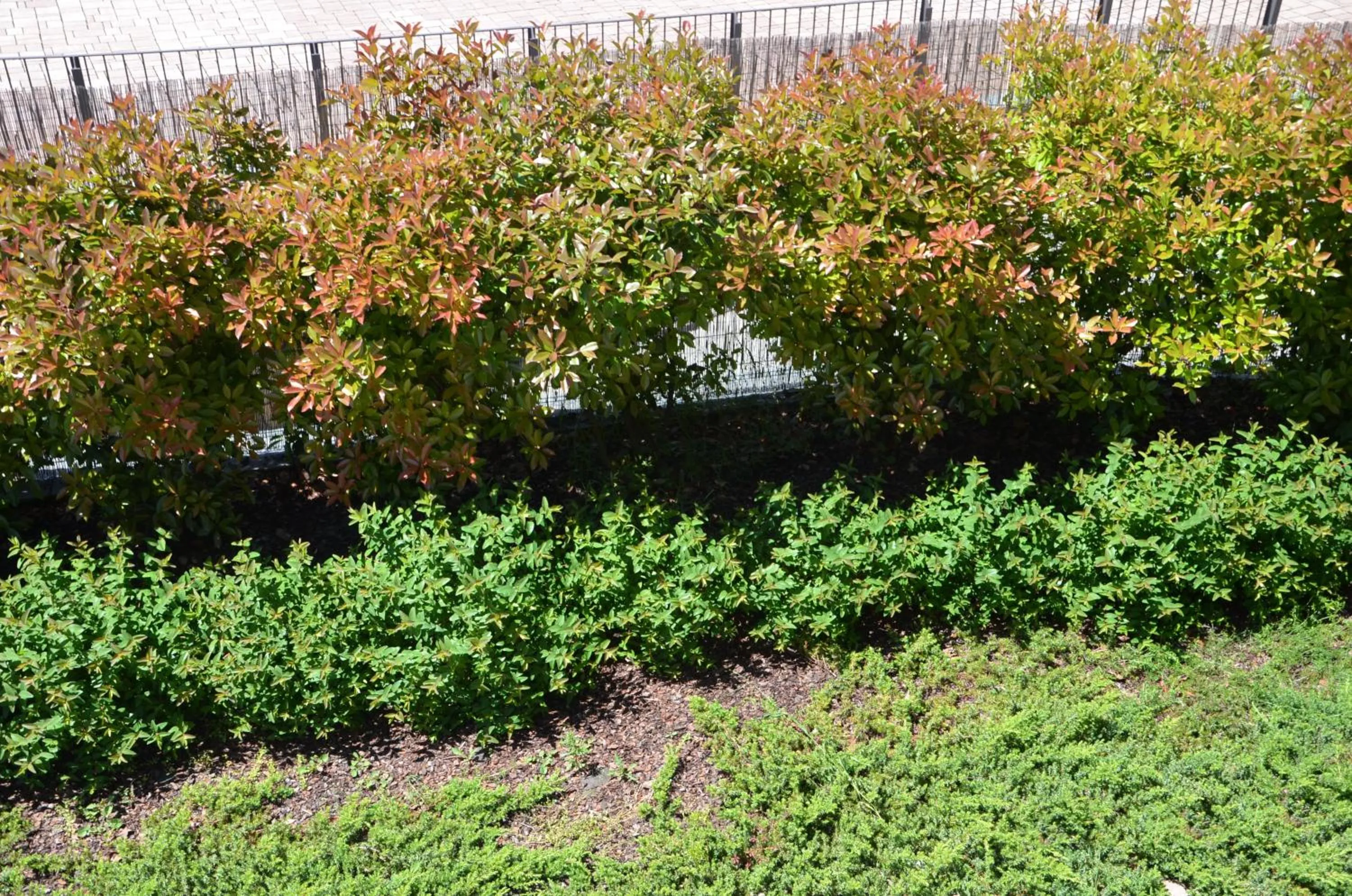 Garden in Eco-Residence