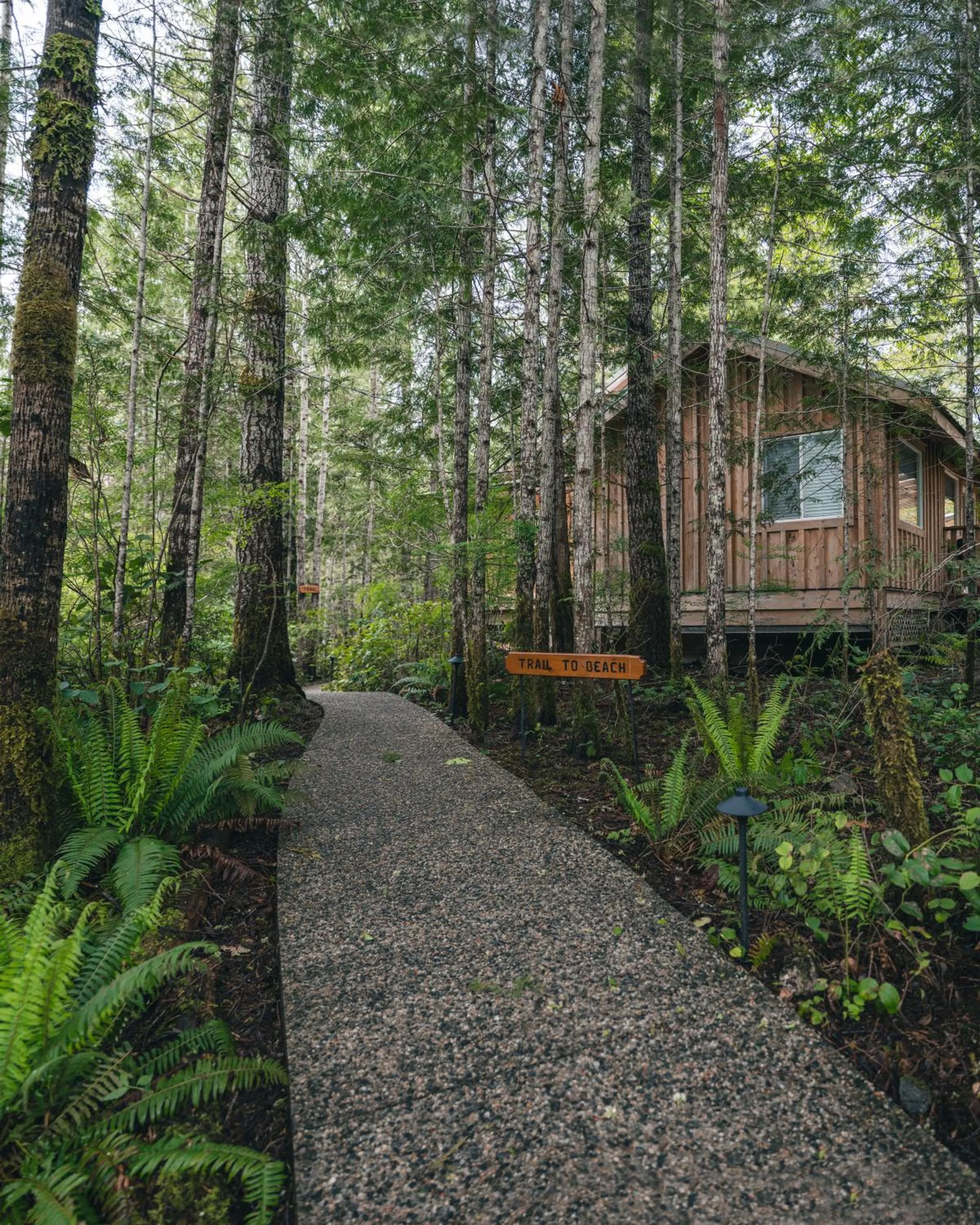 West Coast Wilderness Lodge