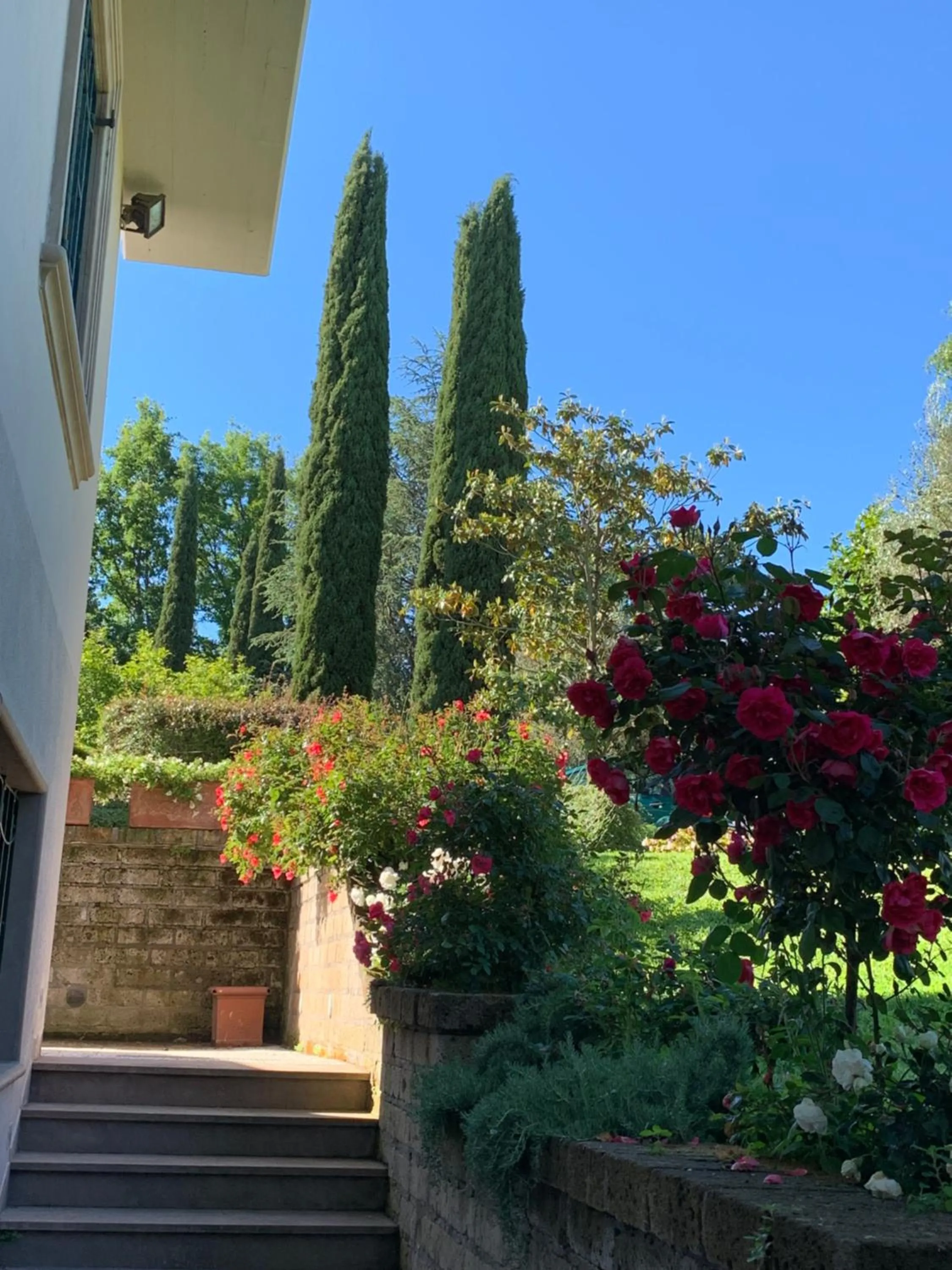 BIO & B - ITALYKE