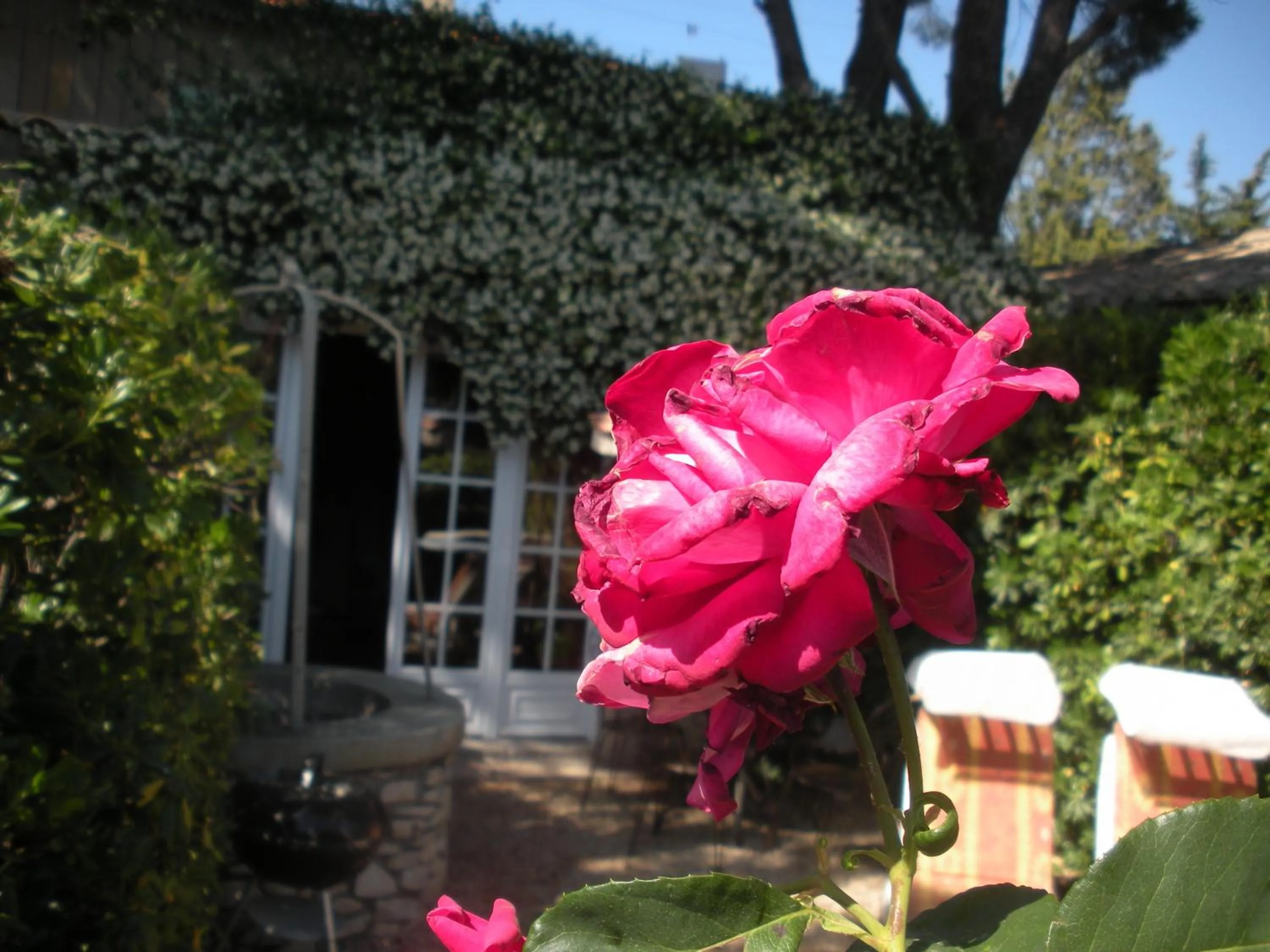 Garden in Gites Climatisés Piscine Chauffée La Balancelle