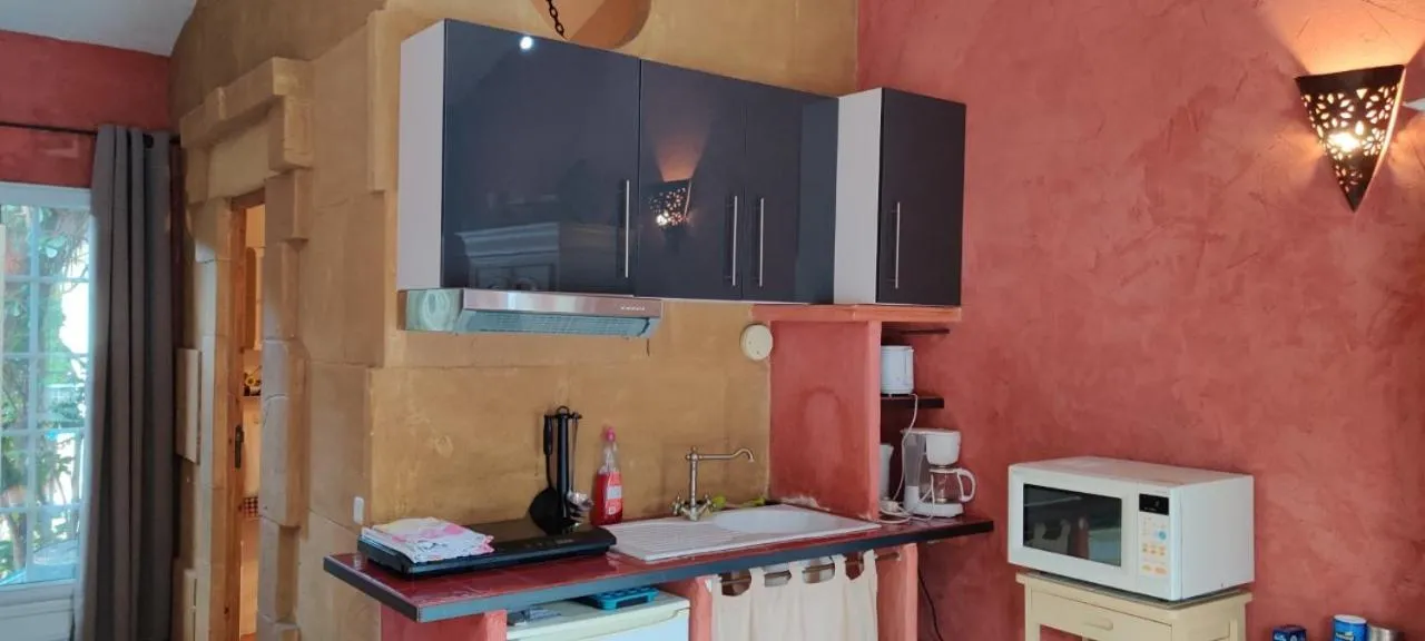 Kitchen or kitchenette in Gites Climatisés Piscine Chauffée La Balancelle