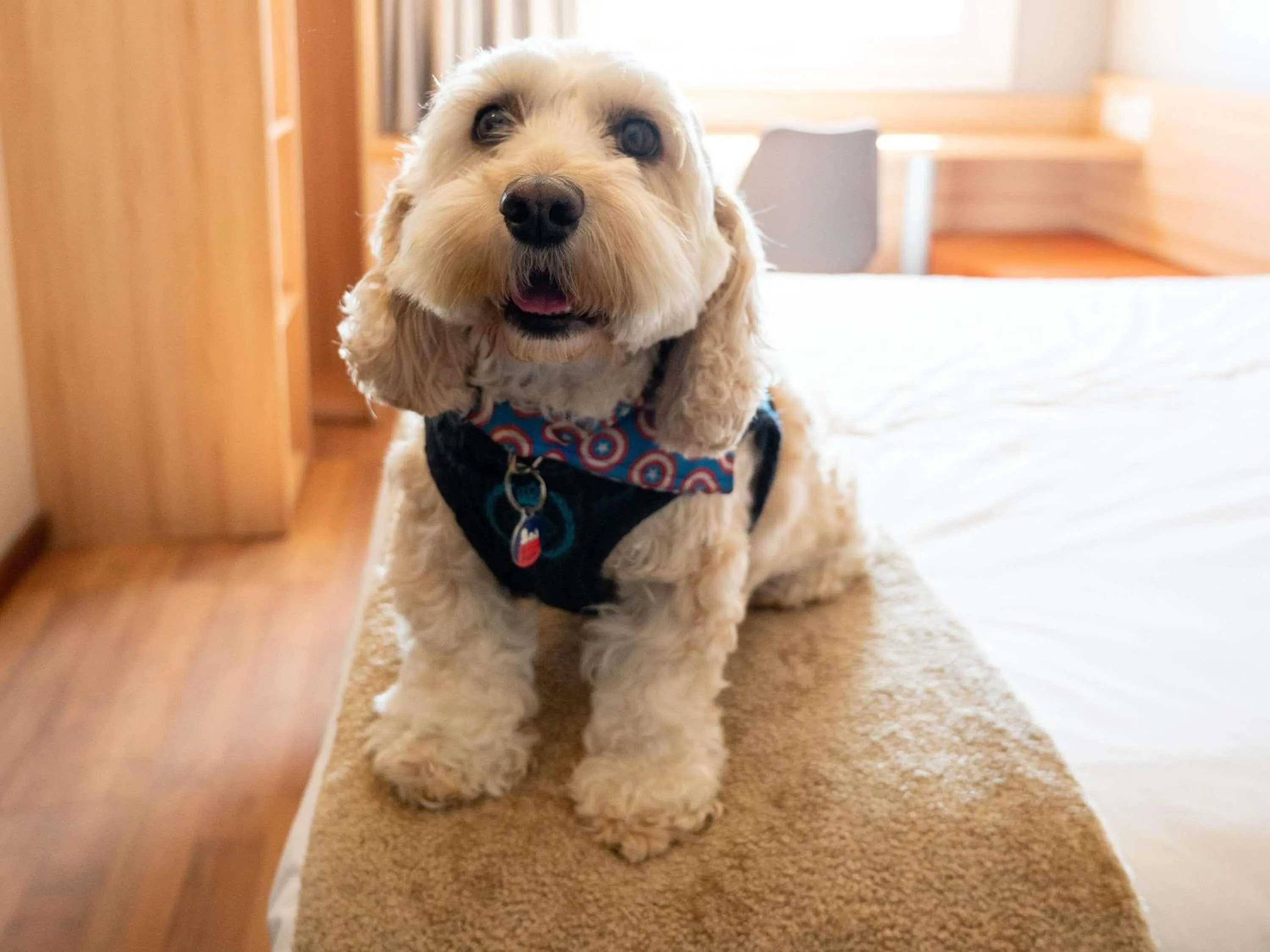 Property building in ibis Concepcion