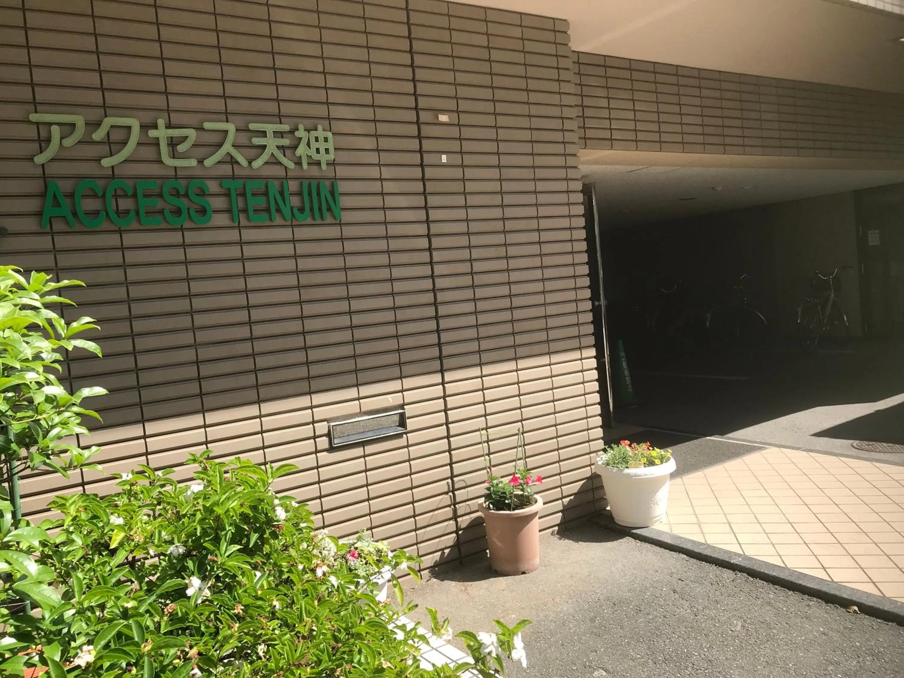 Access Tenjin