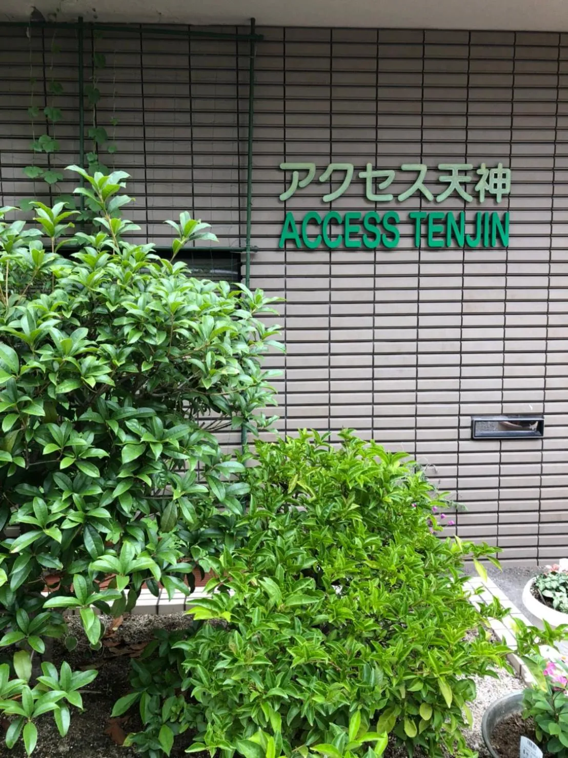 Access Tenjin