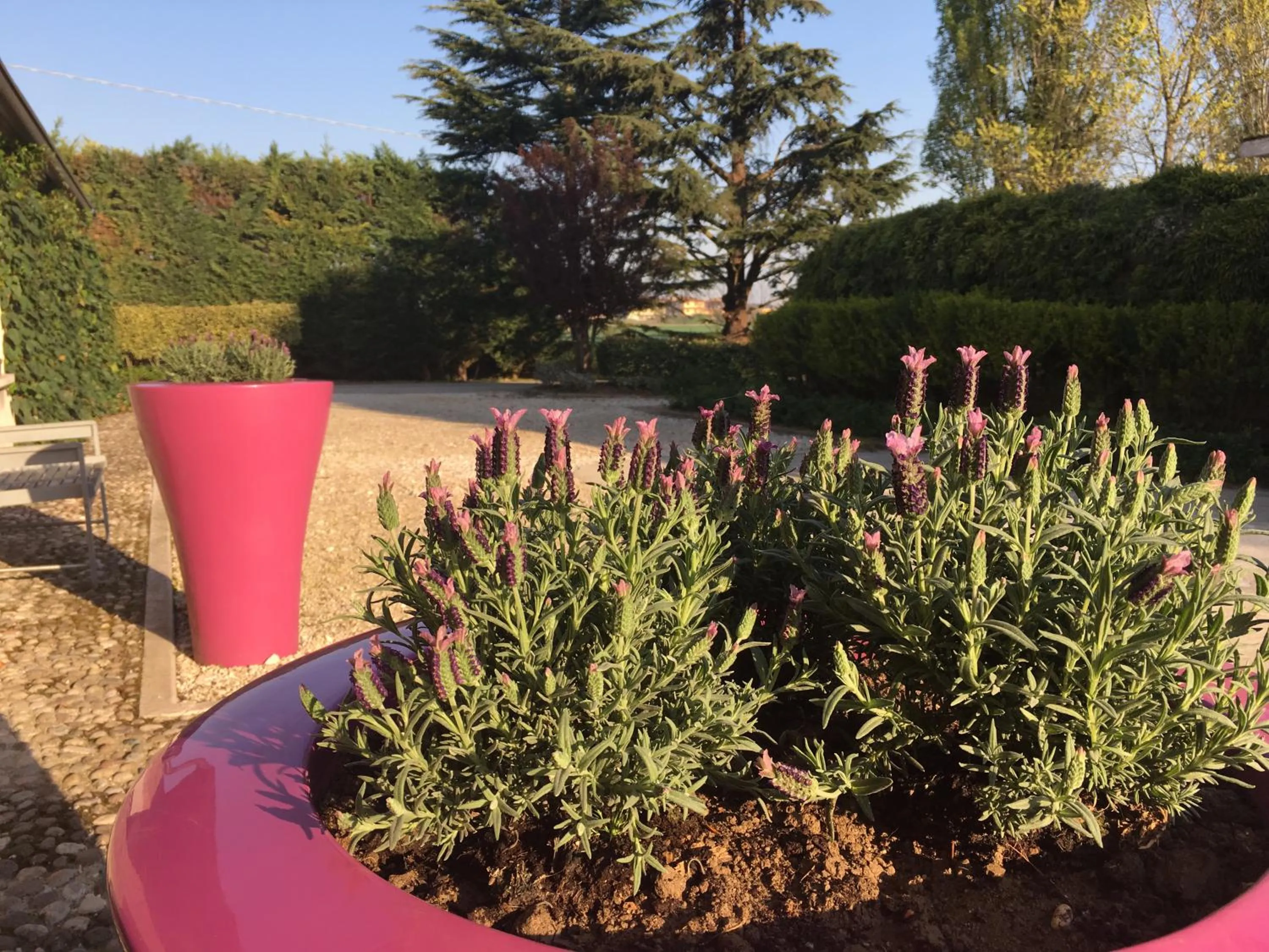 Garden in Agriturismo Corte Rocca