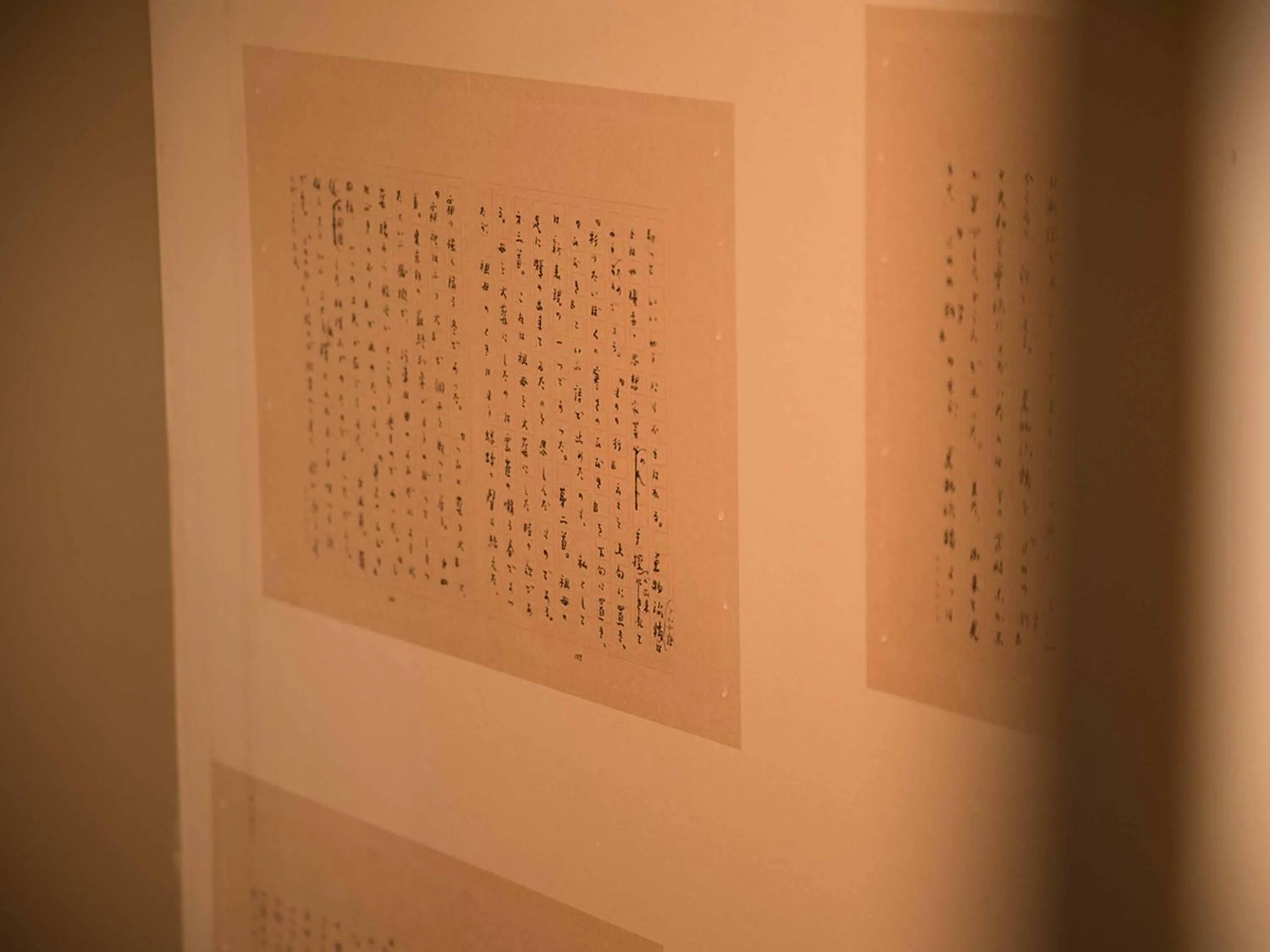 Photo of the whole room in Yamatoya Besso