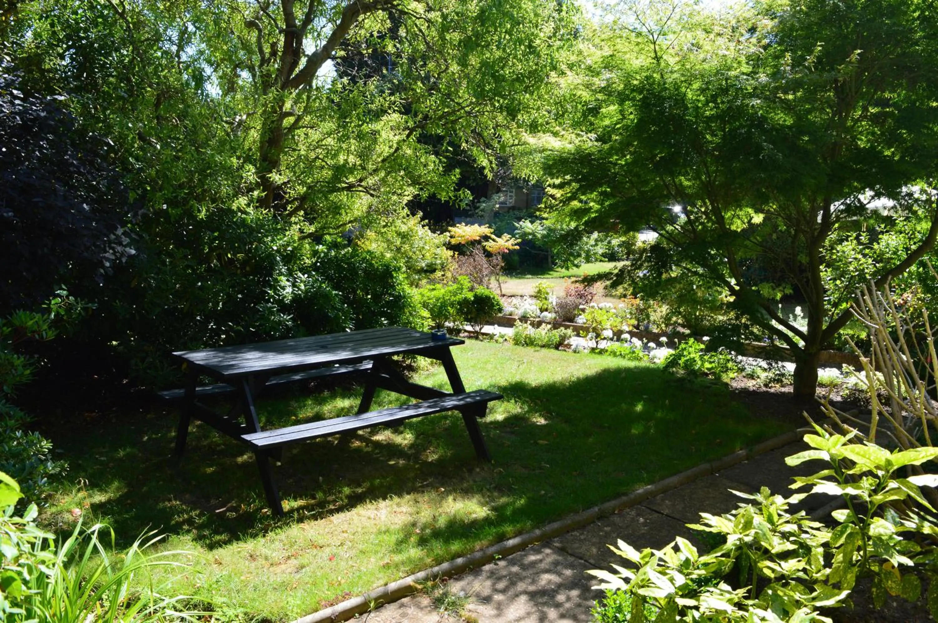 Garden in Somerton Lodge