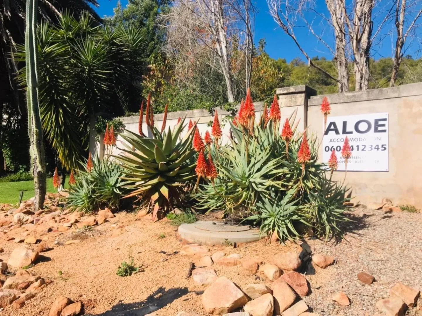 Facade/entrance in Aloe Guesthouse Klerksdorp