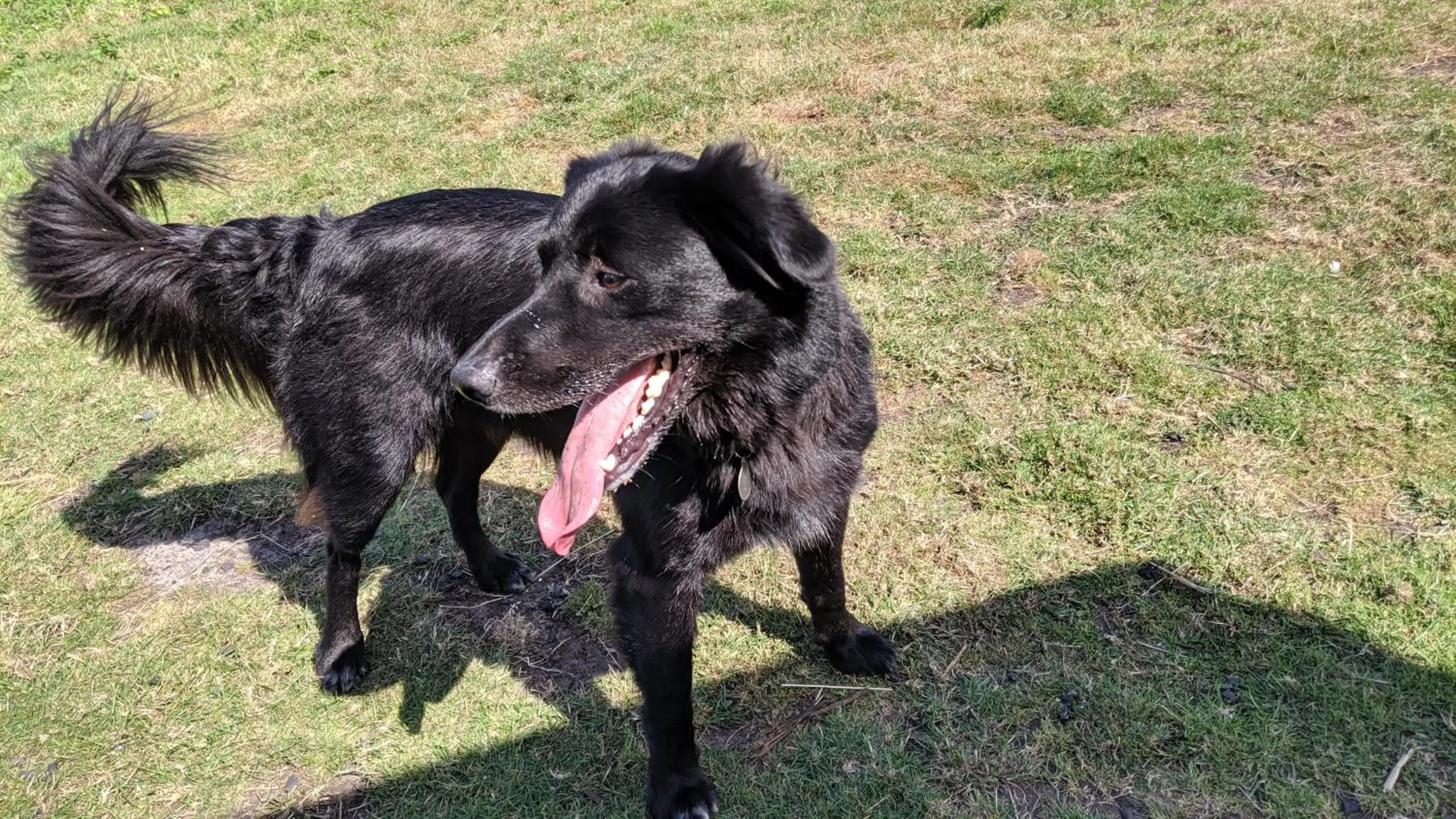 Activities in Glamping with Llamas