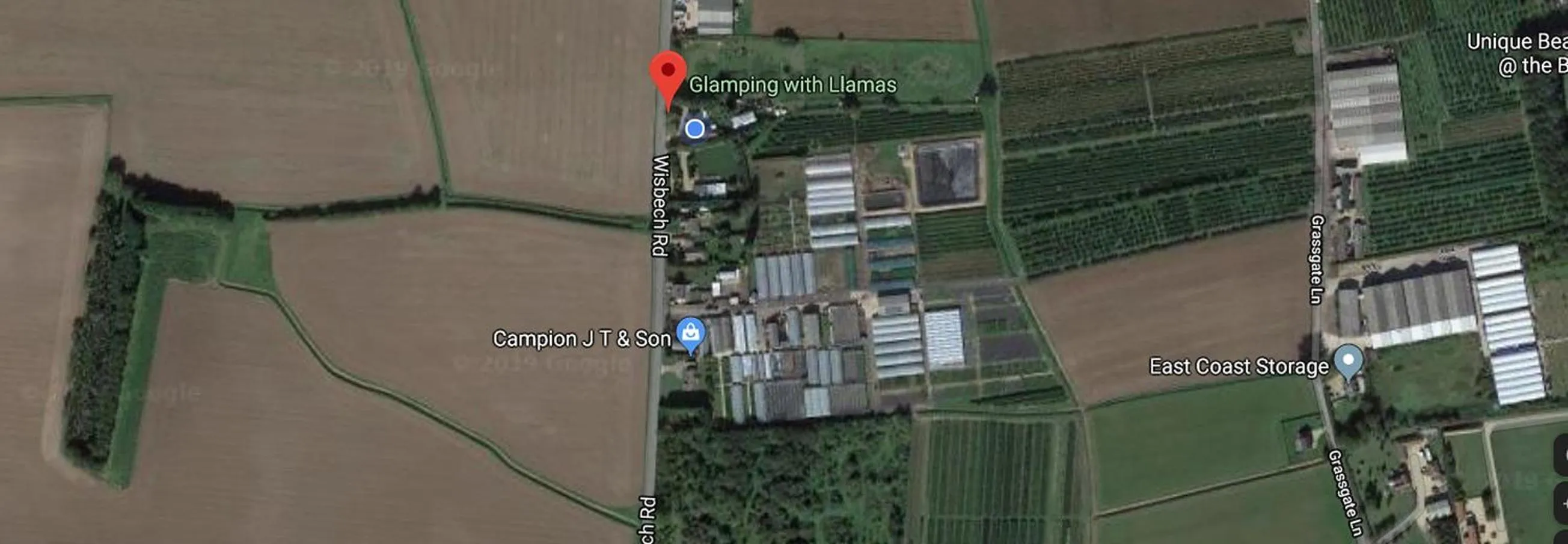 Neighbourhood in Glamping with Llamas