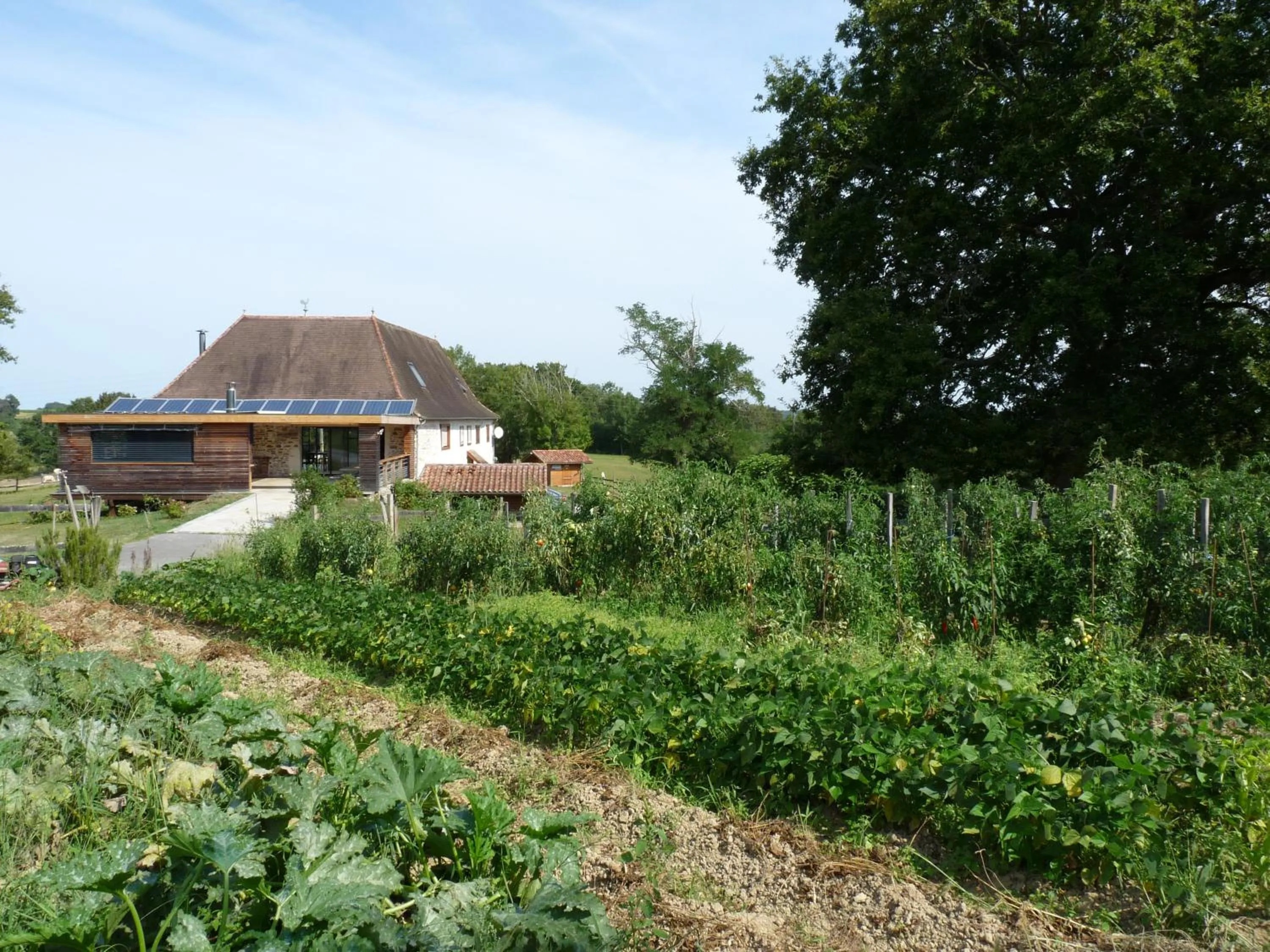 Garden in Chambres d hotes AZKENA