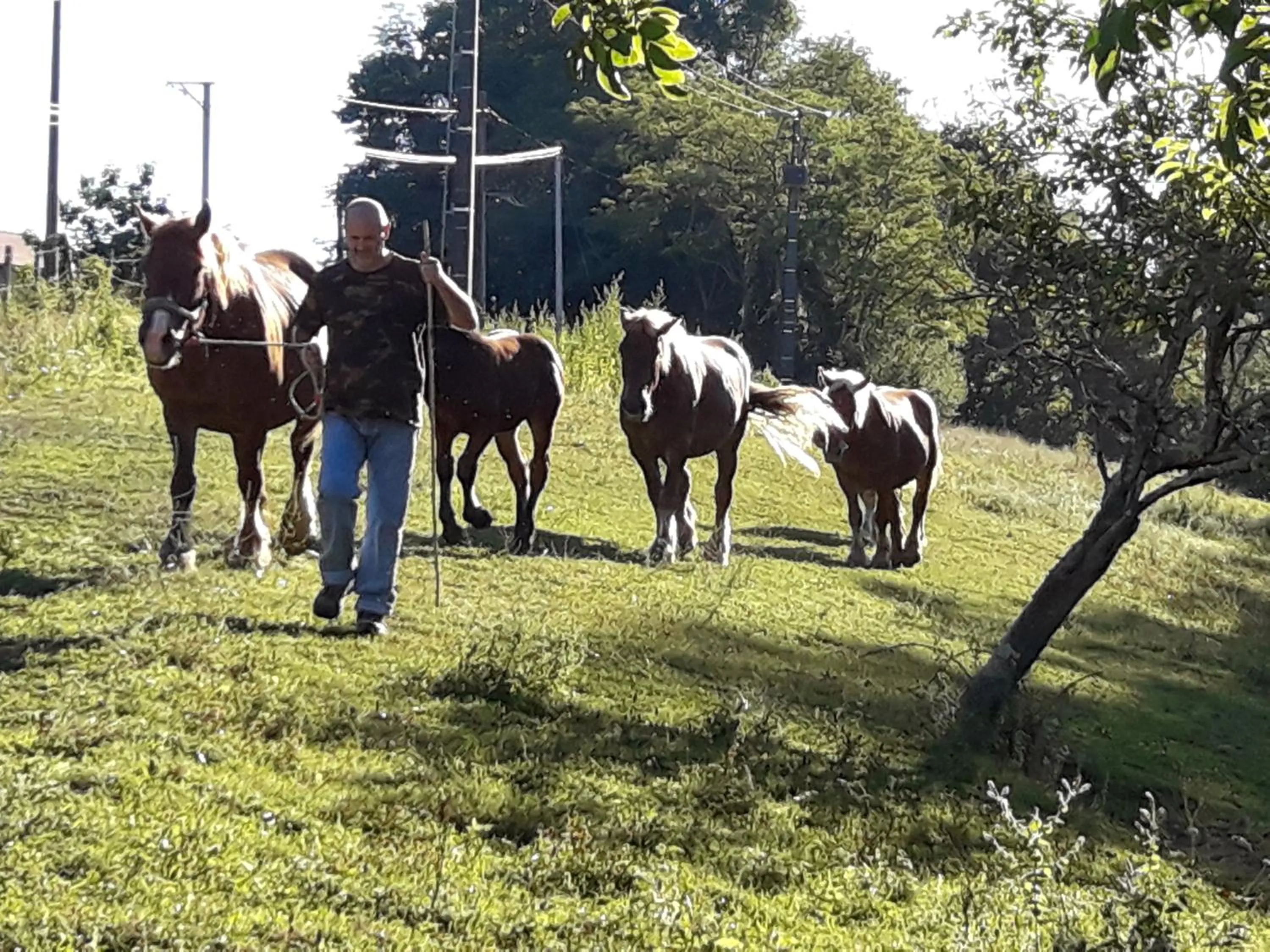 Property building in Chambres d hotes AZKENA