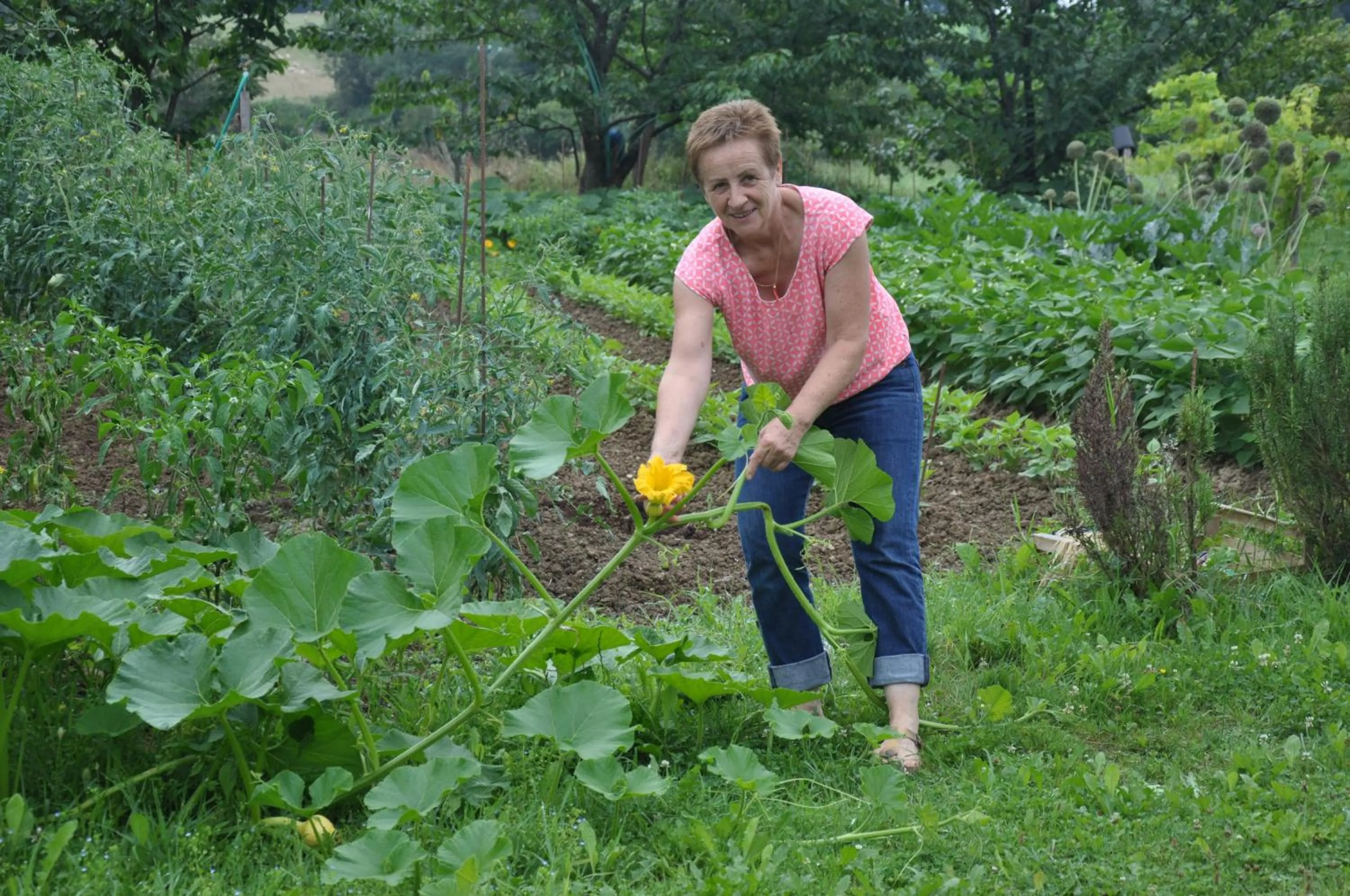 Area and facilities in Chambres d hotes AZKENA