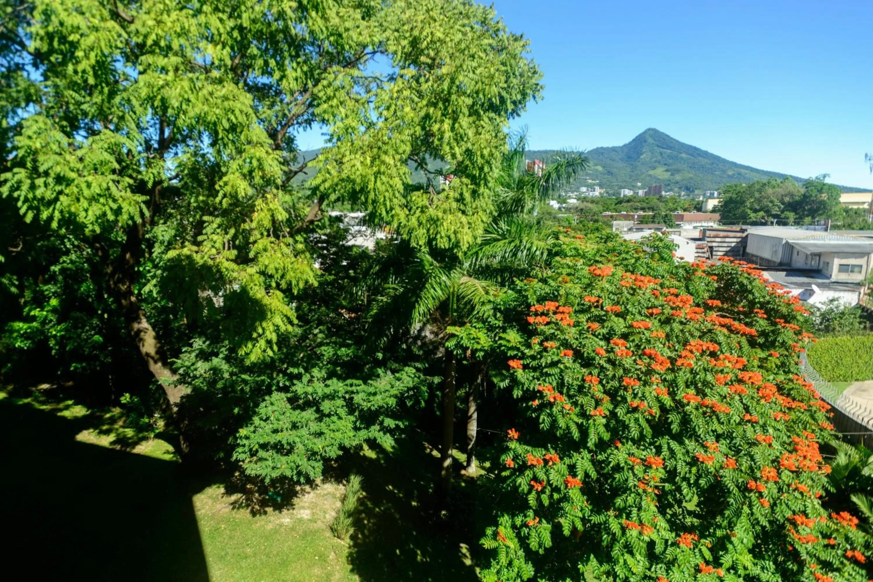 Property building in Courtyard by Marriott San Salvador