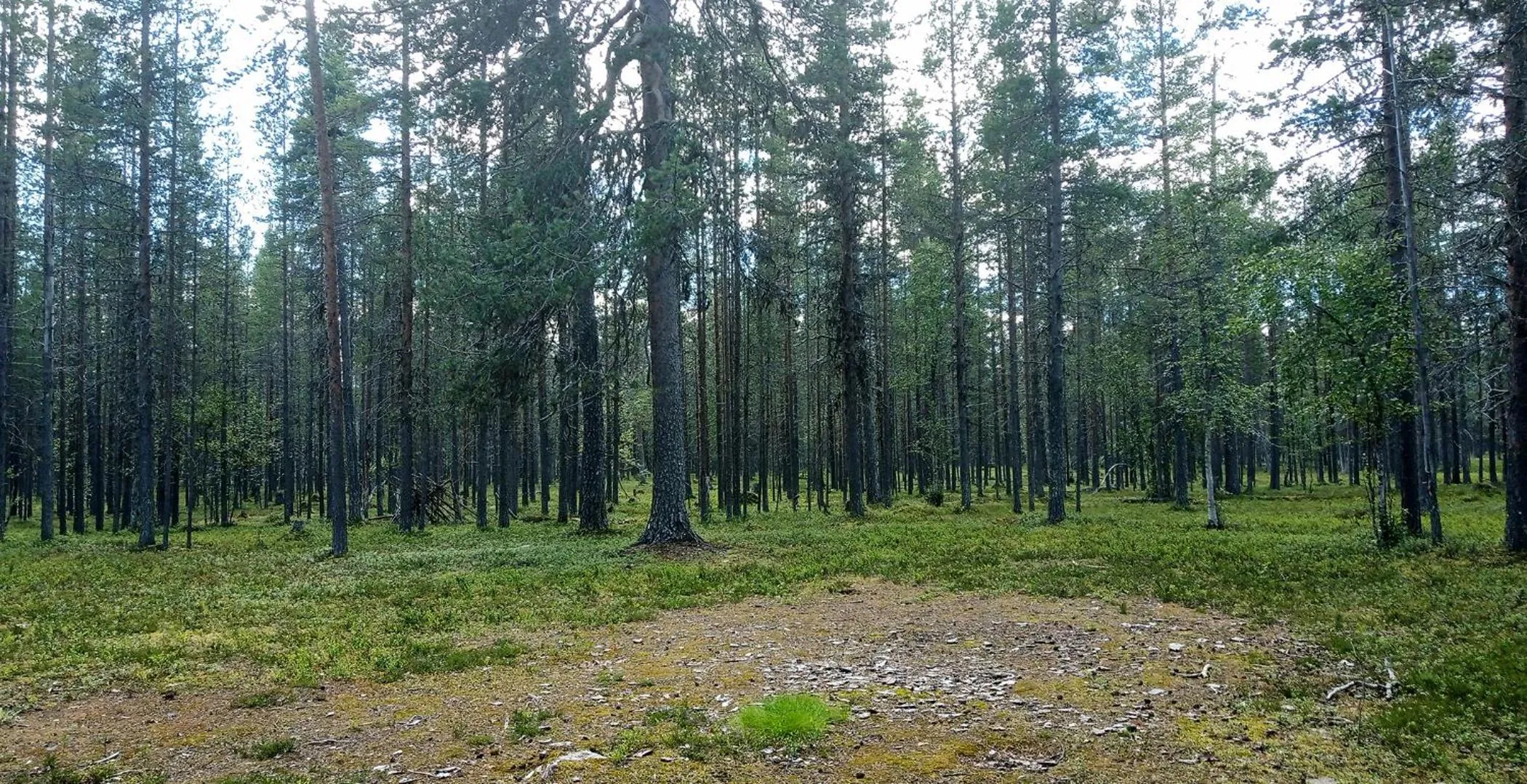Neighbourhood in Kuukkeli Apartments Vuotso
