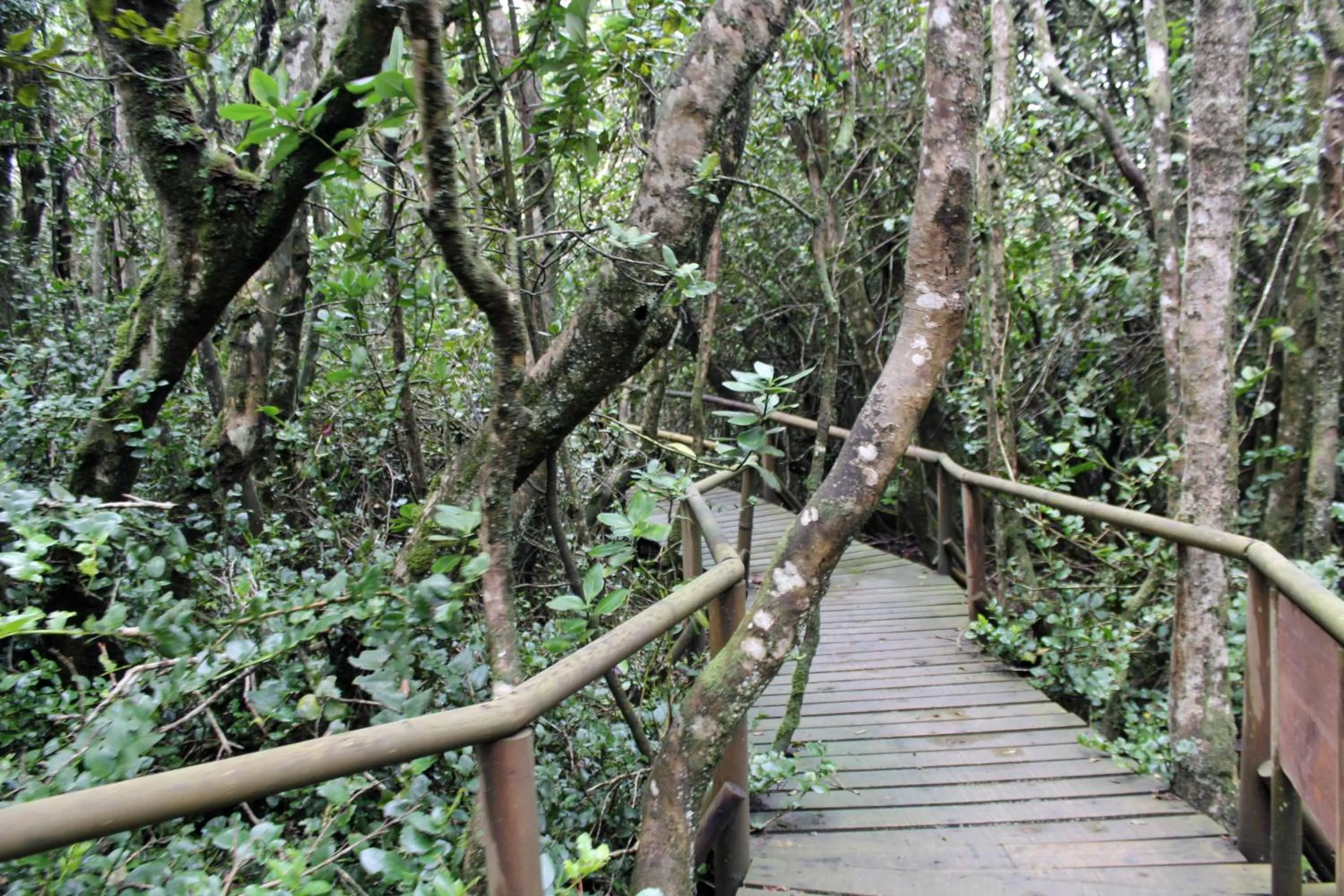 Spring in Hotel Boutique Terra Diaguita & Spa