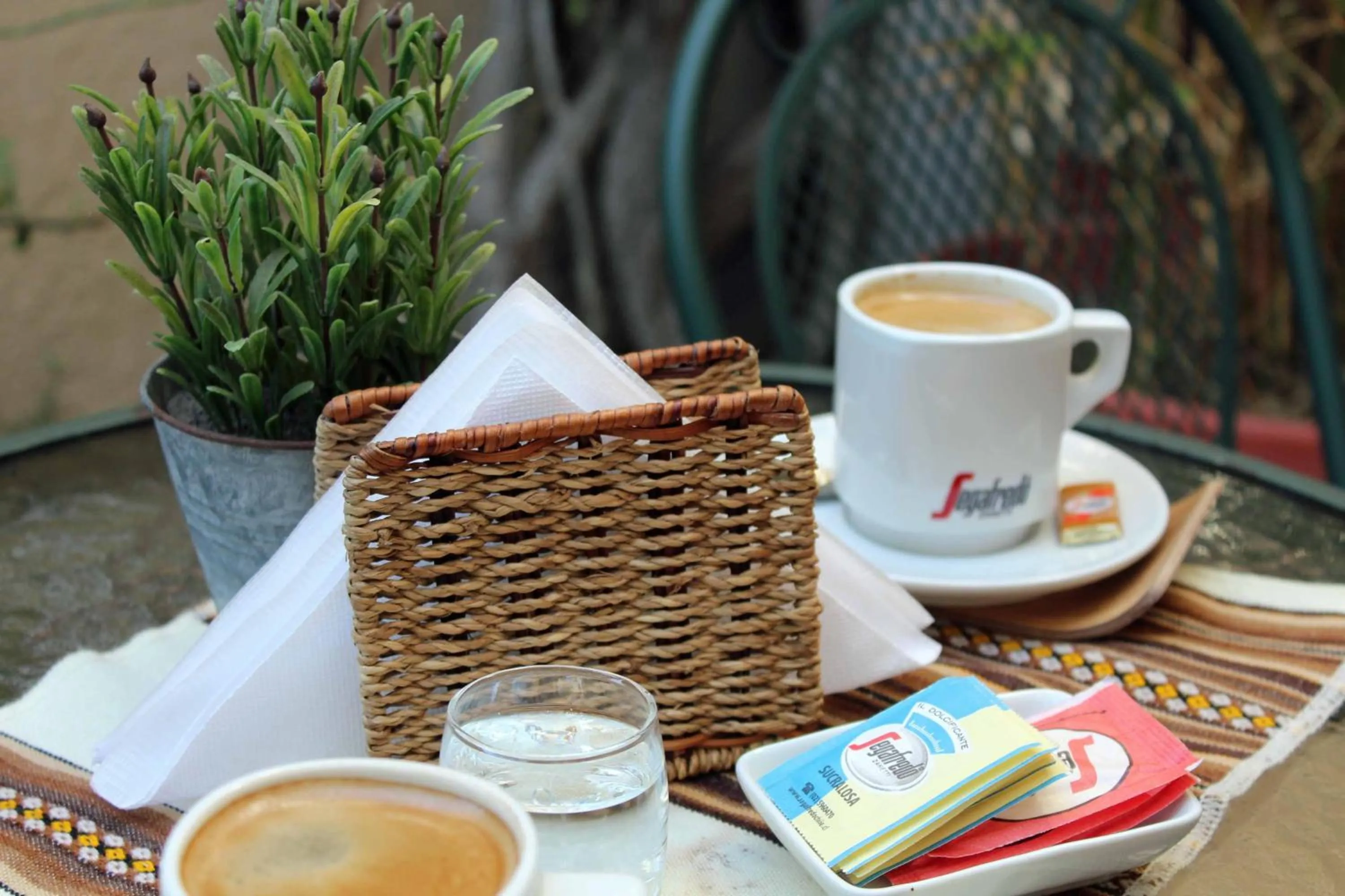 Garden in Hotel Boutique Terra Diaguita & Spa