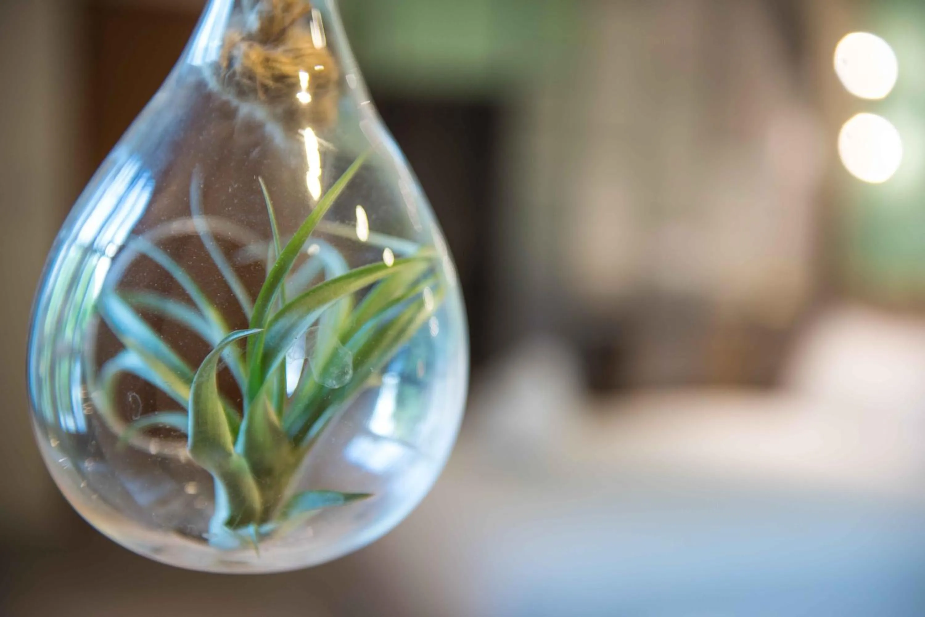 Small Bridge Good Home