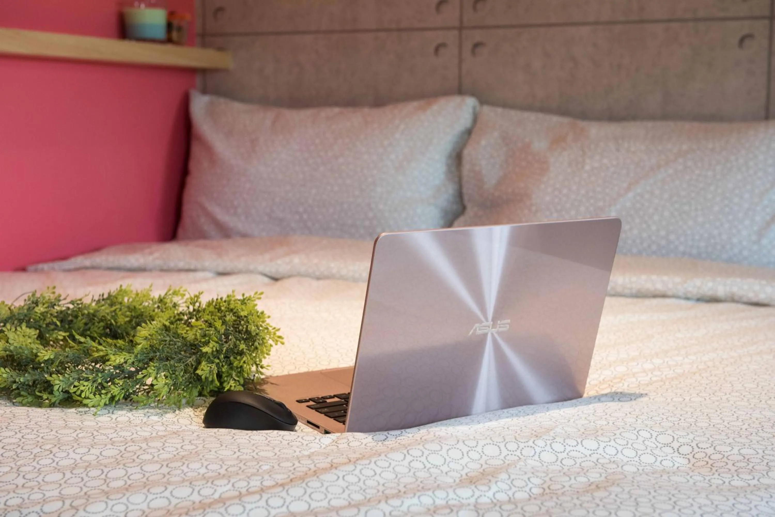 Bed in Small Bridge Good Home