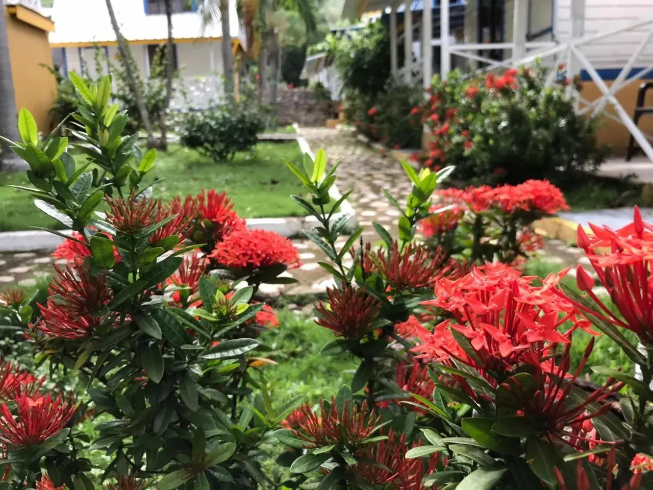 Cabañas Agua Dulce Cabañas Agua Dulce