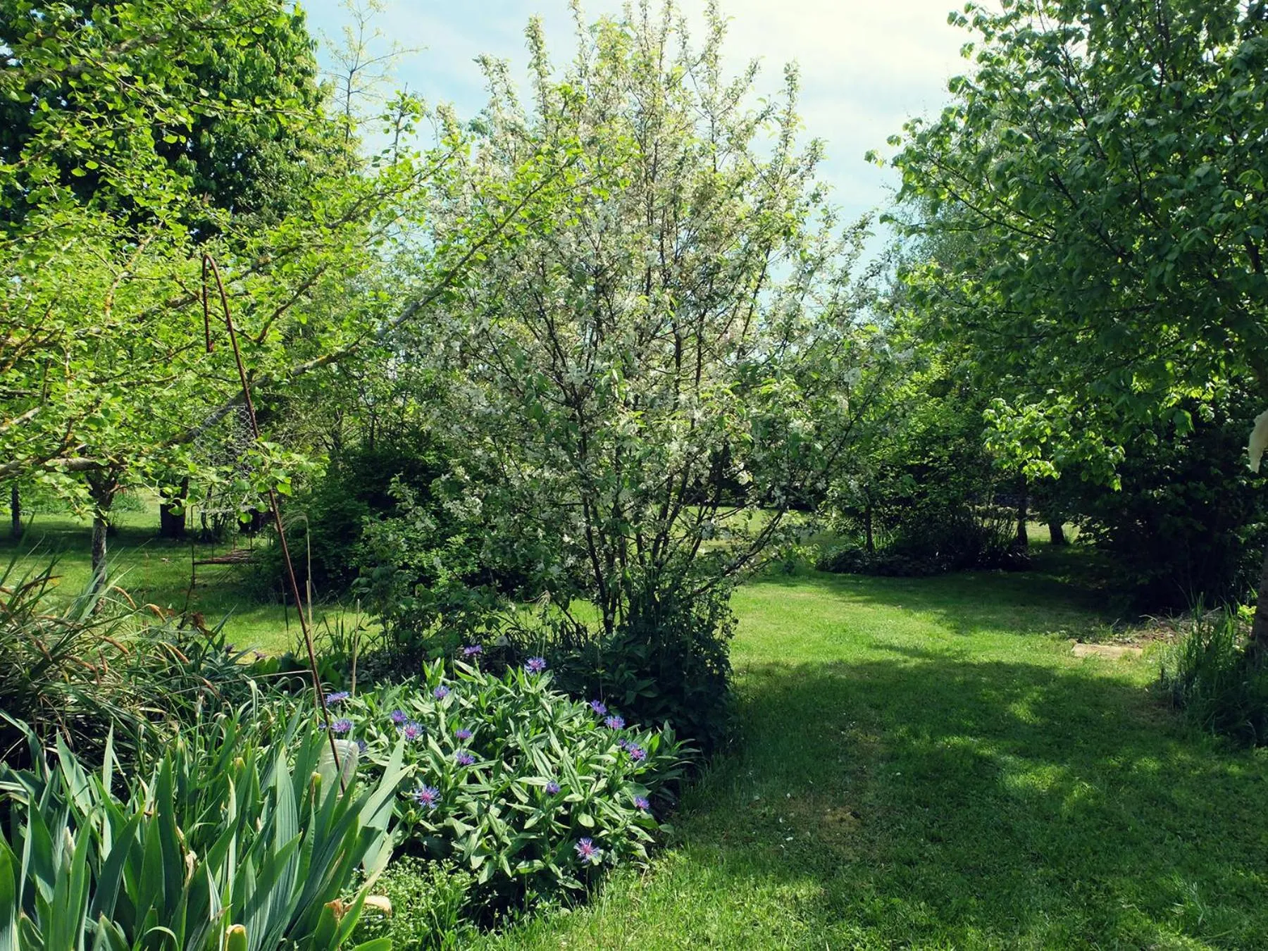 Property building in Le Thé au Jardin