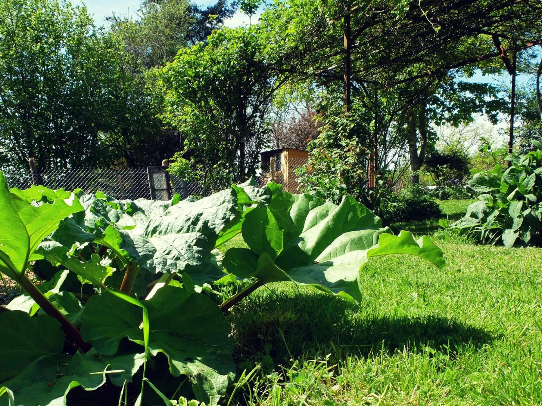 Property building in Le Thé au Jardin