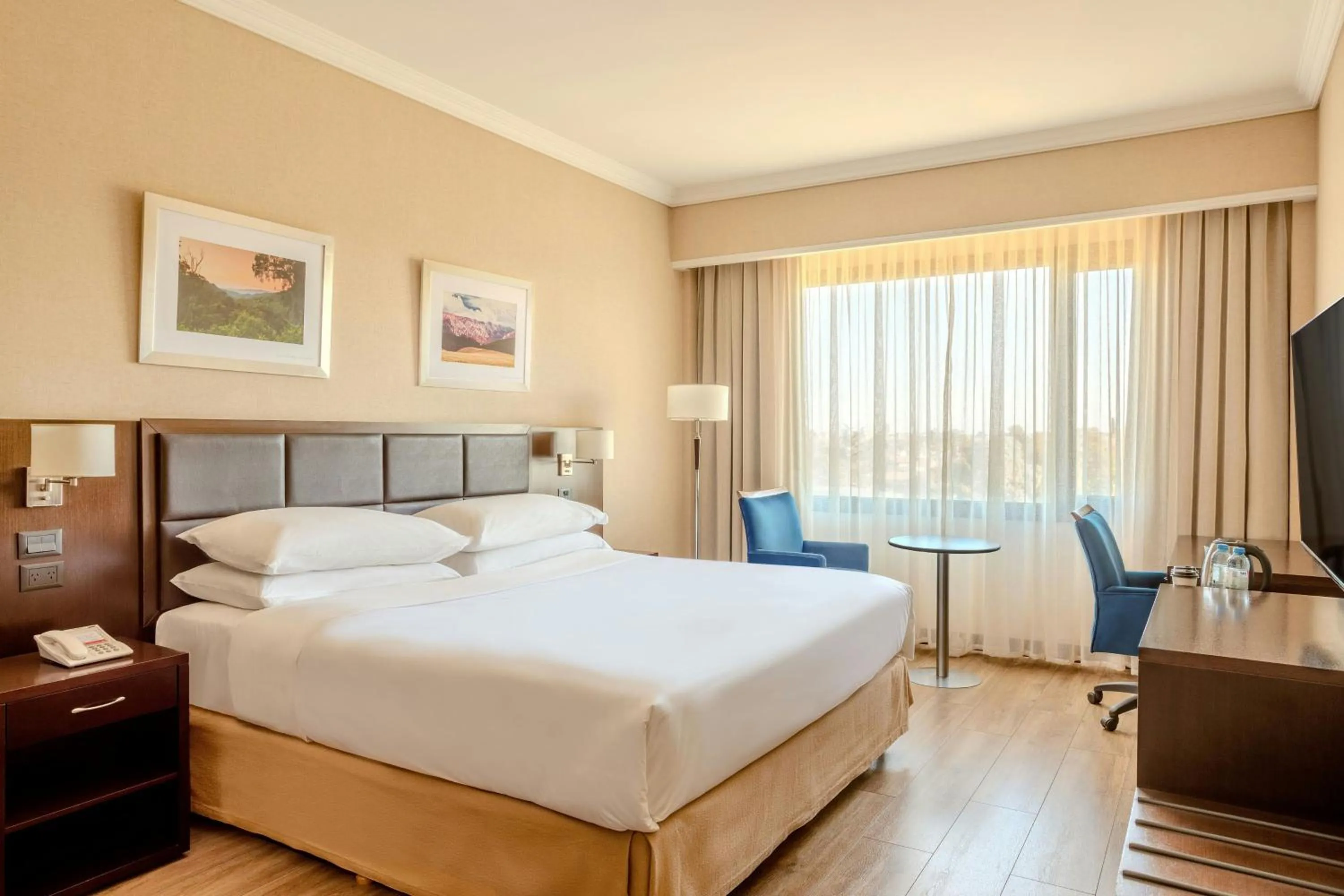Photo of the whole room, Bed in Marriott Hotel Buenos Aires Ezeiza Airport