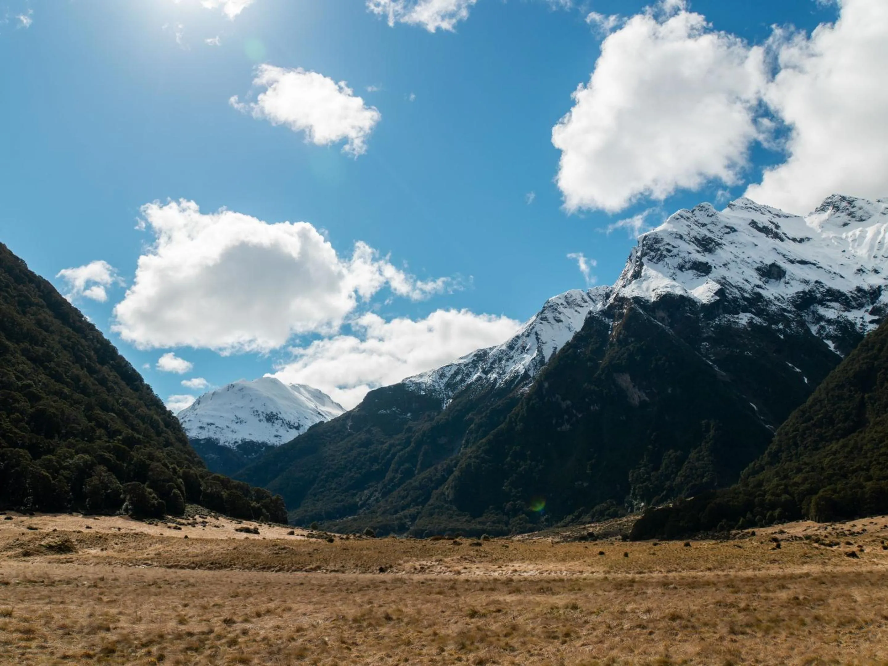 Natural landscape in Wonderland Makarora Lodge