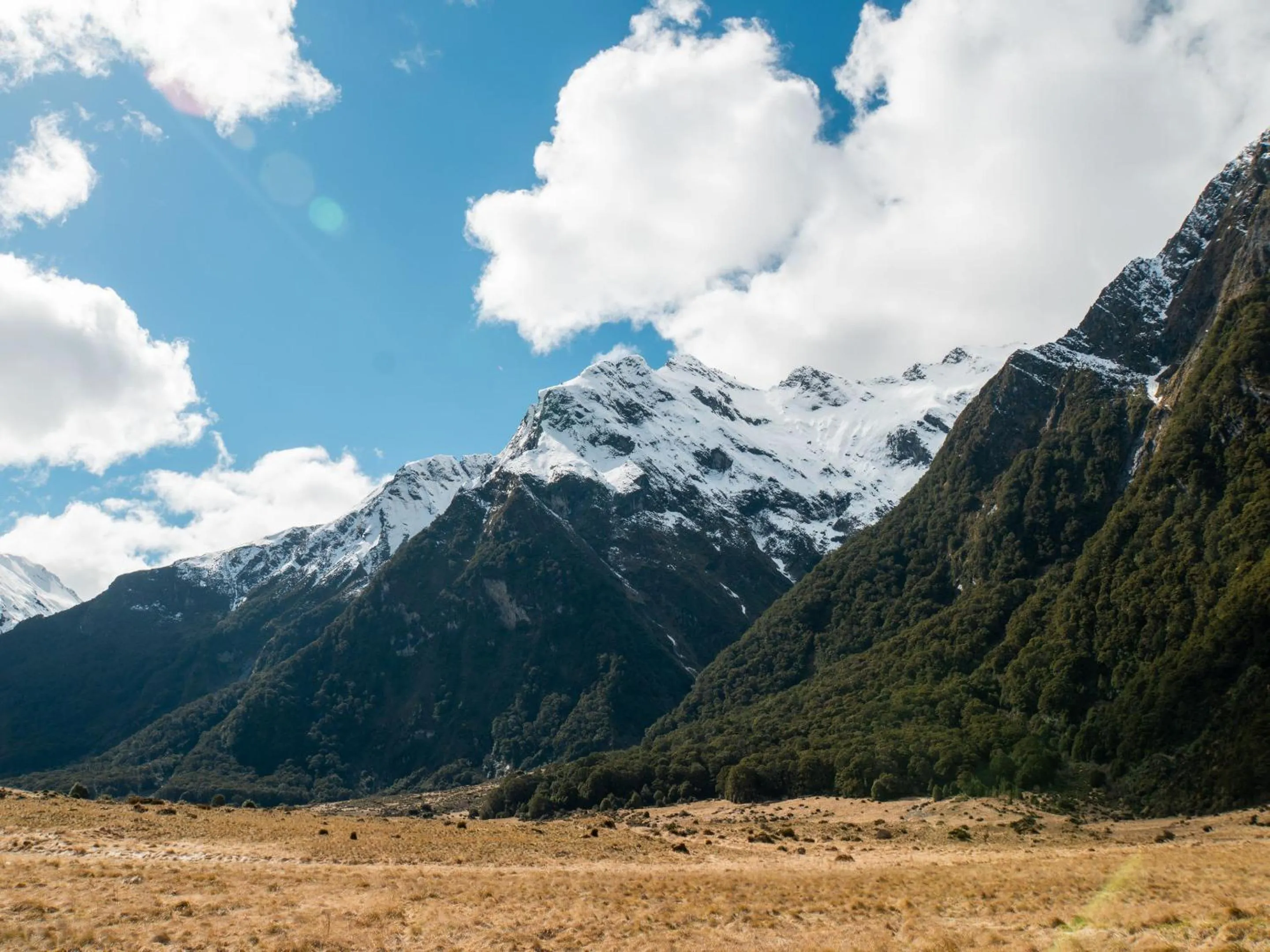 Natural landscape in Wonderland Makarora Lodge
