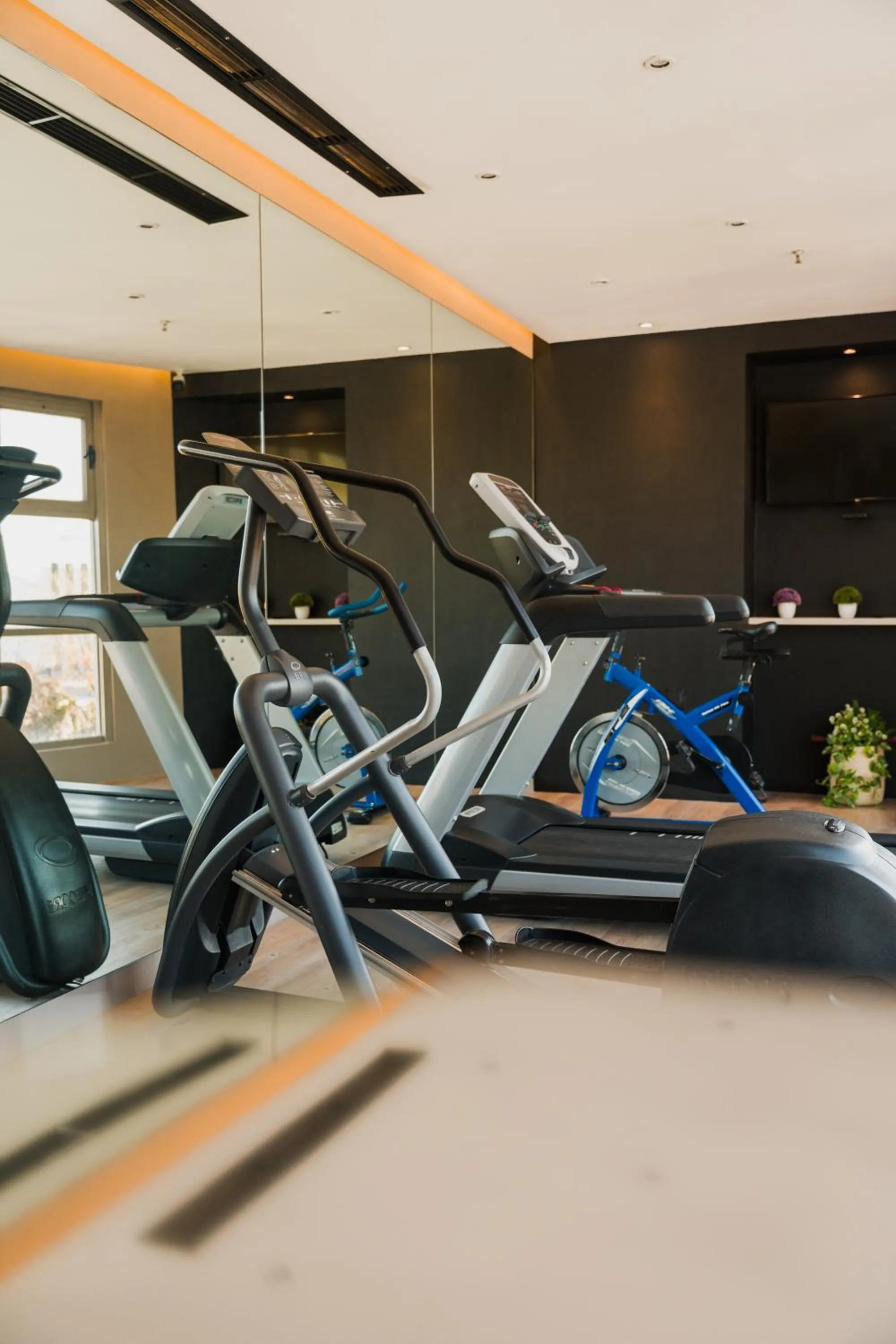 Fitness centre/facilities in Hotel Victoria Express