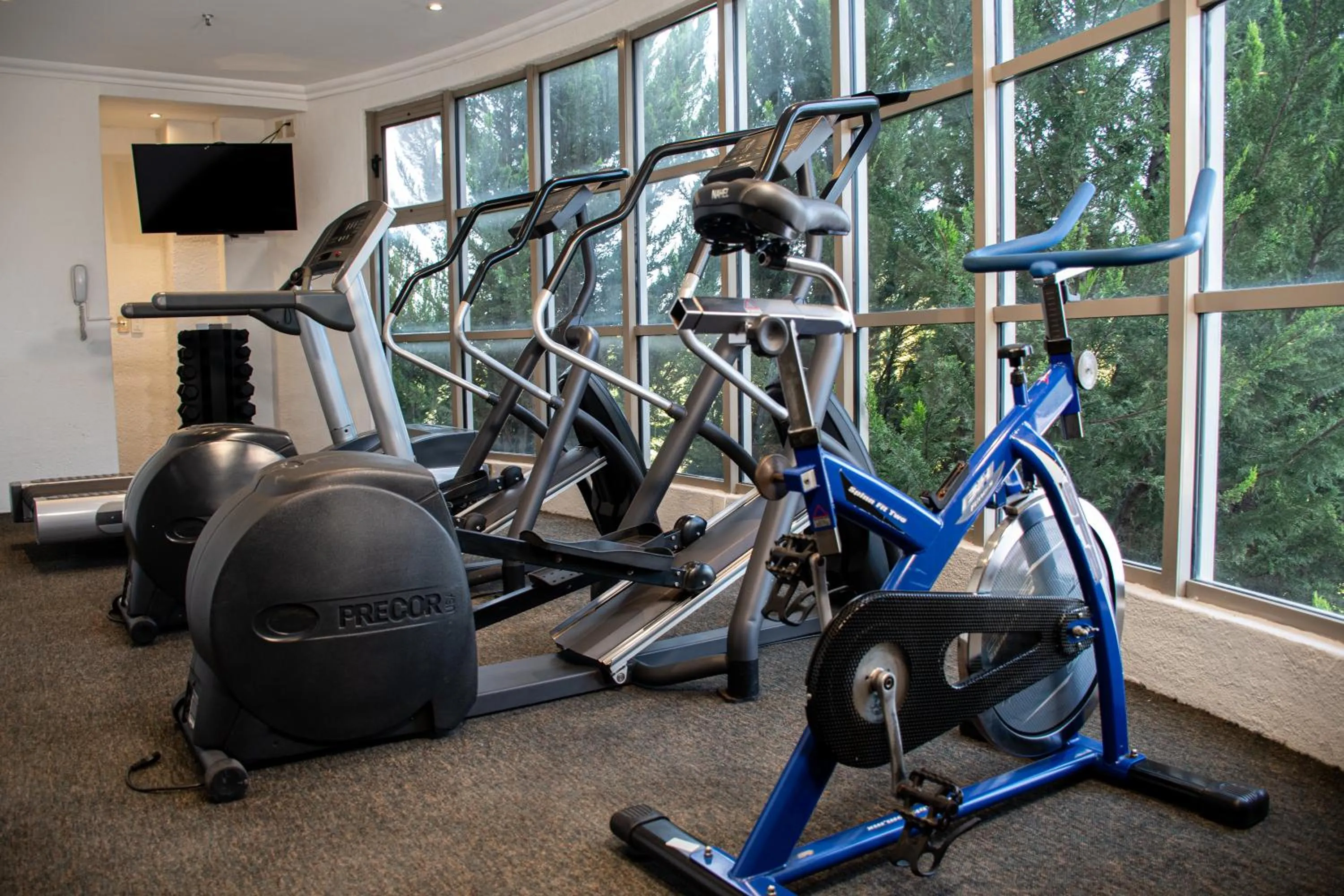 Fitness centre/facilities in Hotel Victoria Express