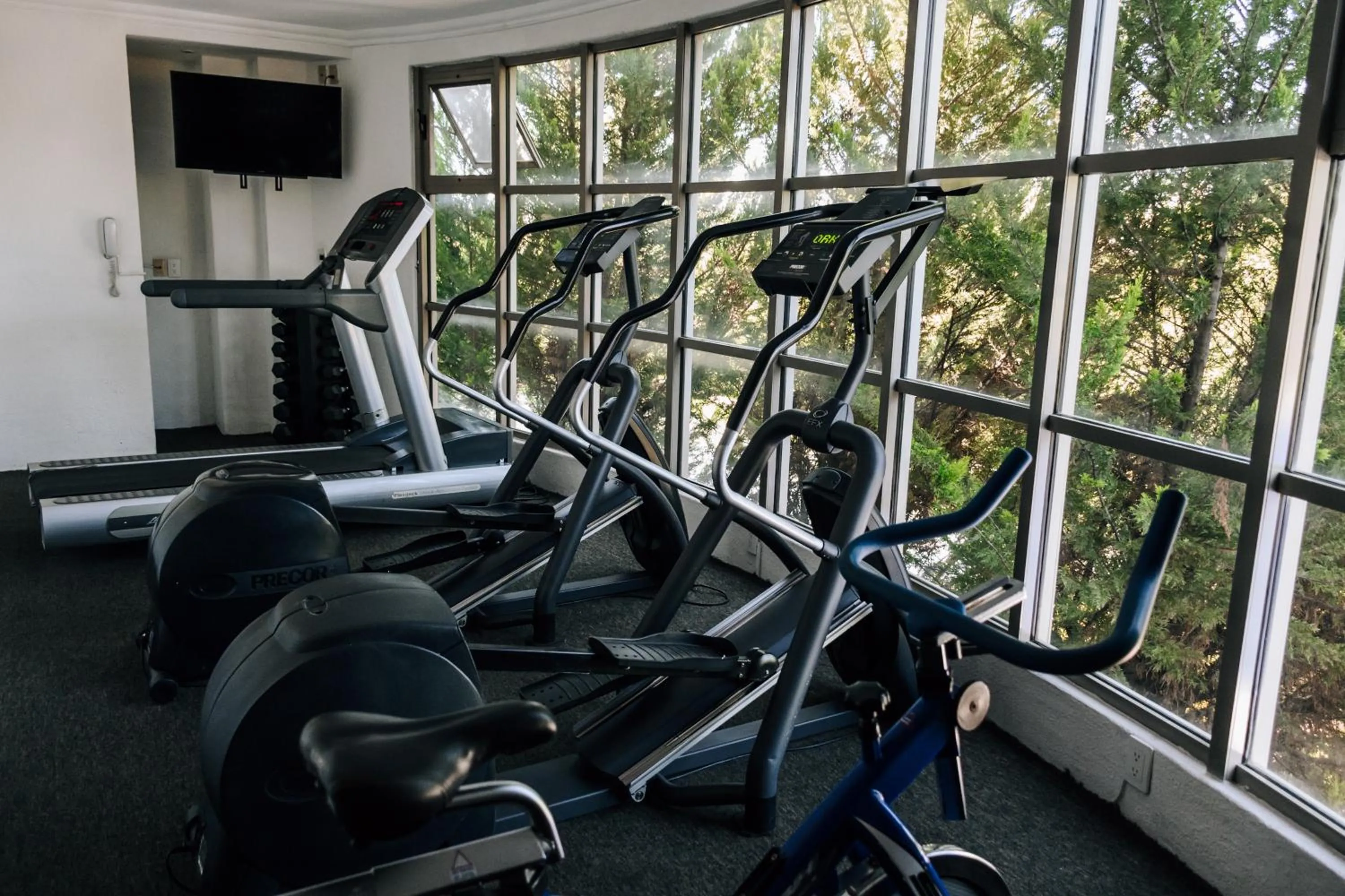 Fitness centre/facilities in Hotel Victoria Express