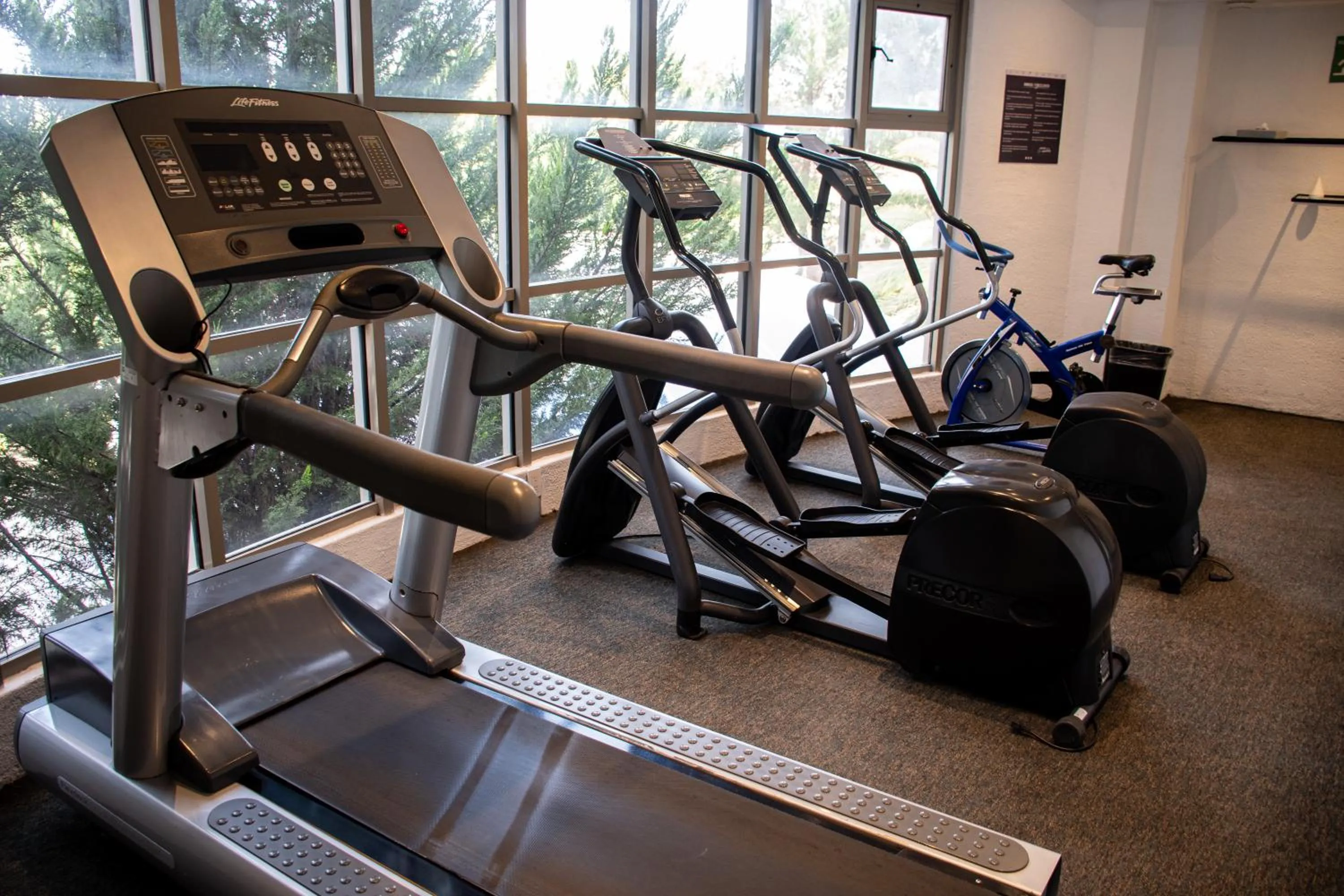 Fitness centre/facilities in Hotel Victoria Express