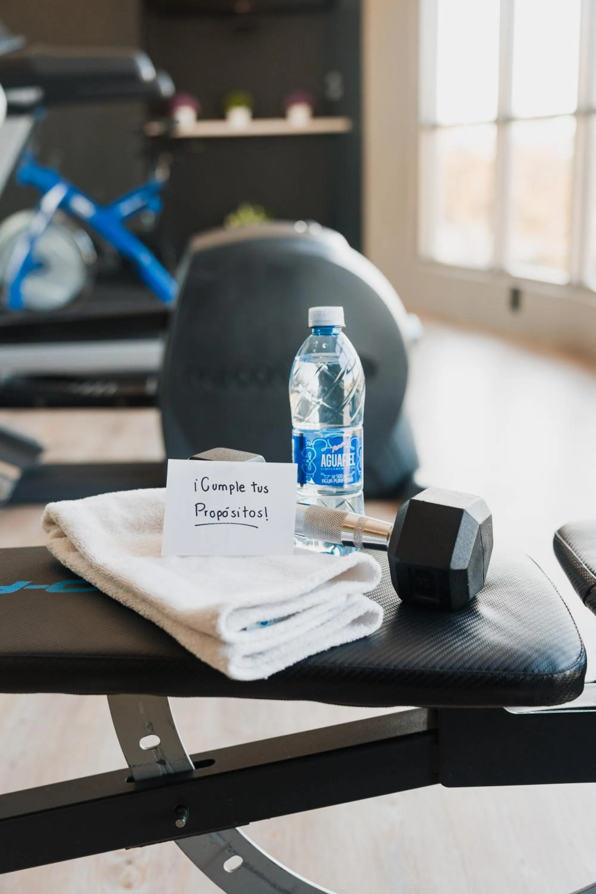 Fitness centre/facilities in Hotel Victoria Express