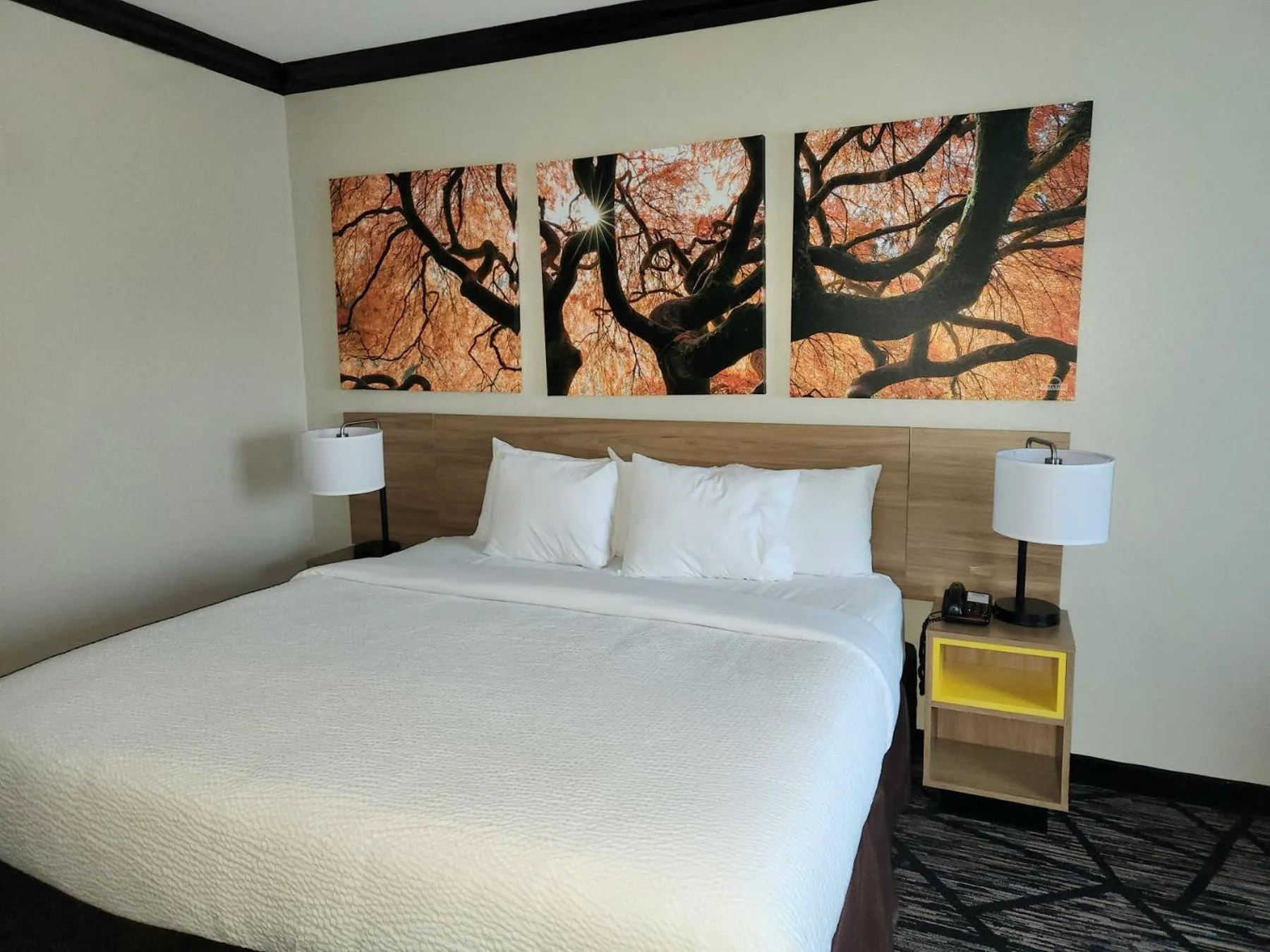 Bedroom, Bed in Days Inn by Wyndham Baton Rouge I-10