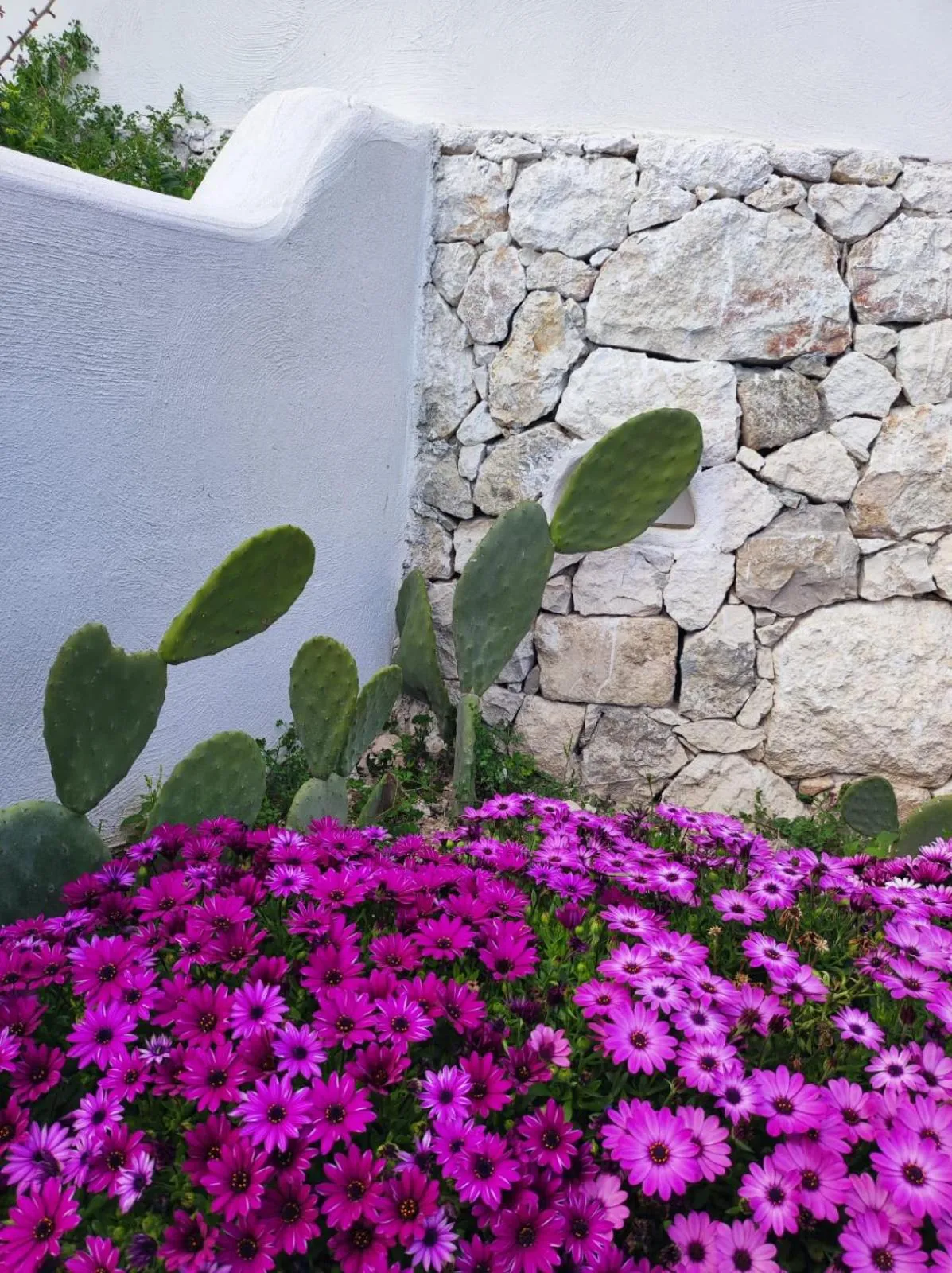 Spring in Dimora Mediterranea