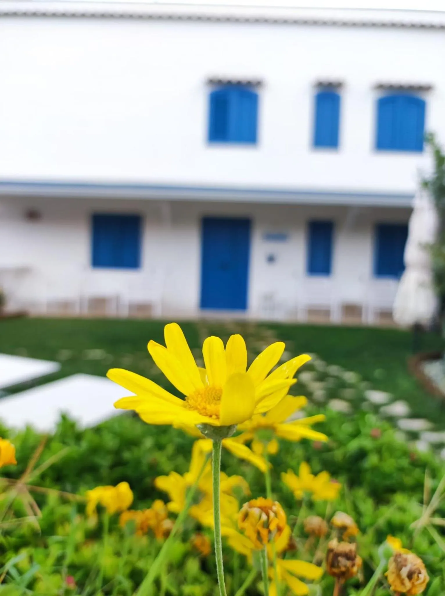 Property building in Dimora Mediterranea