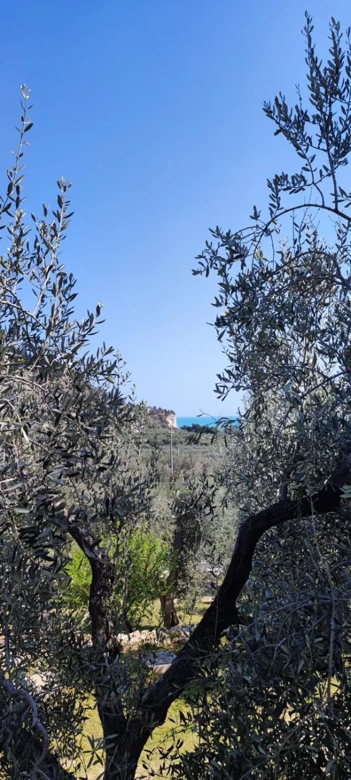 Property building in Dimora Mediterranea