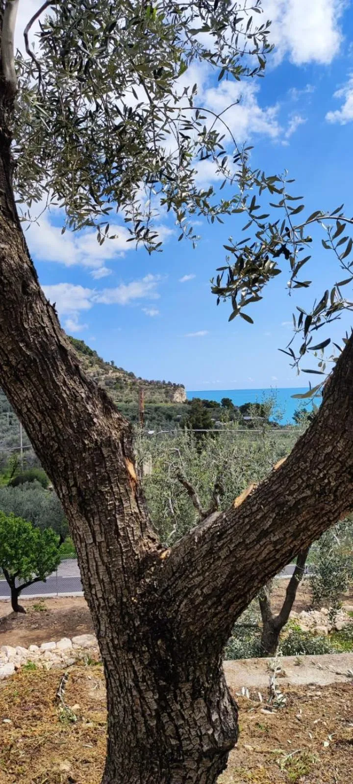 Day in Dimora Mediterranea