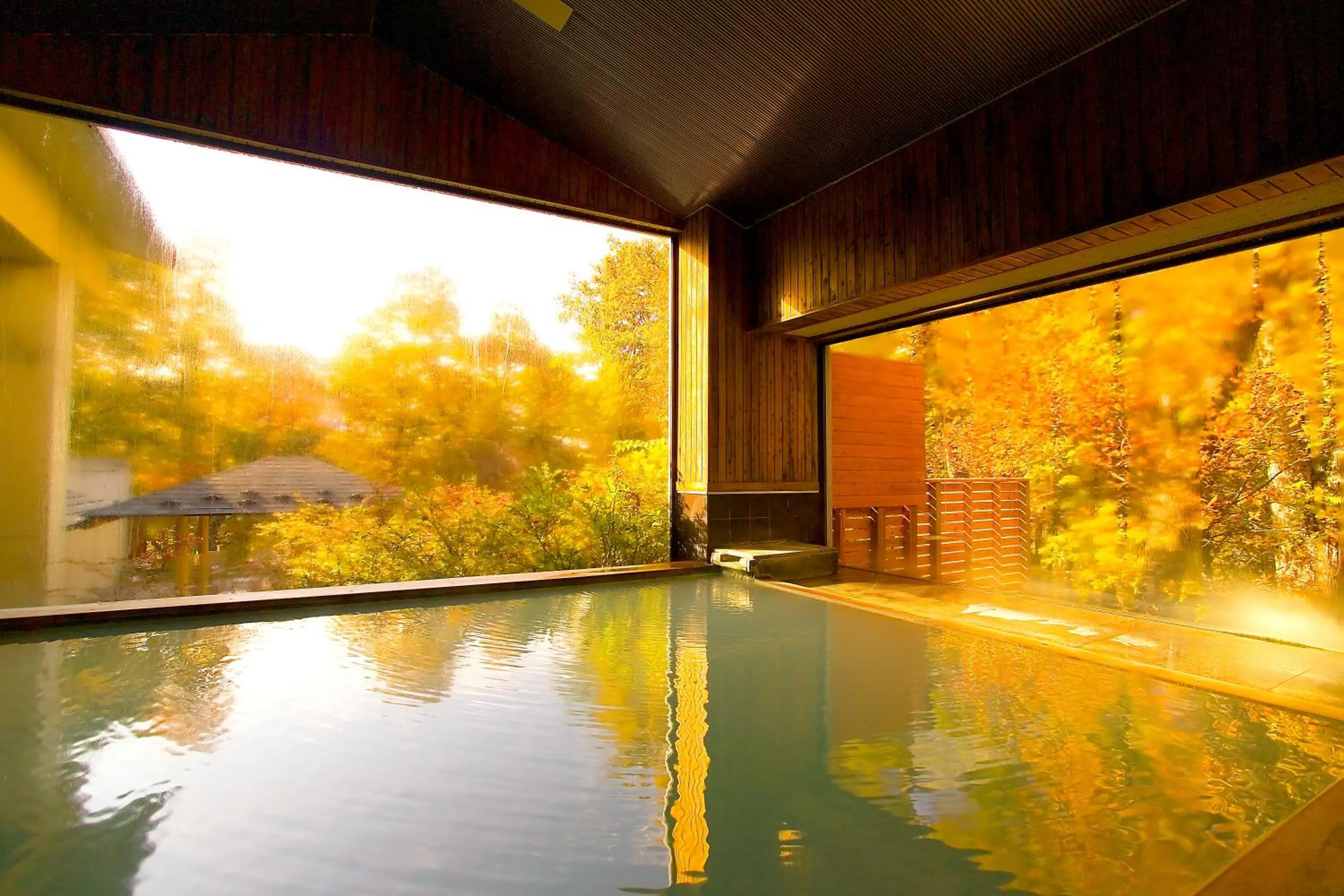 Hot Spring Bath in Hotel Shikisai