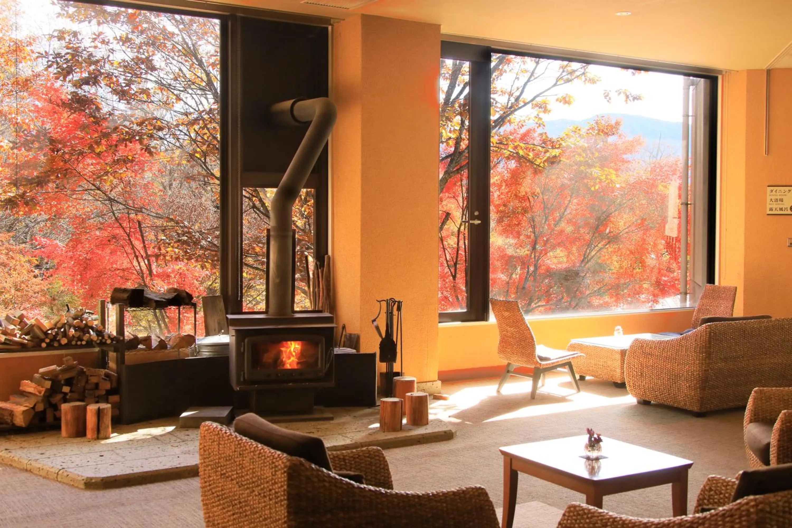 Communal lounge/ TV room in Hotel Shikisai