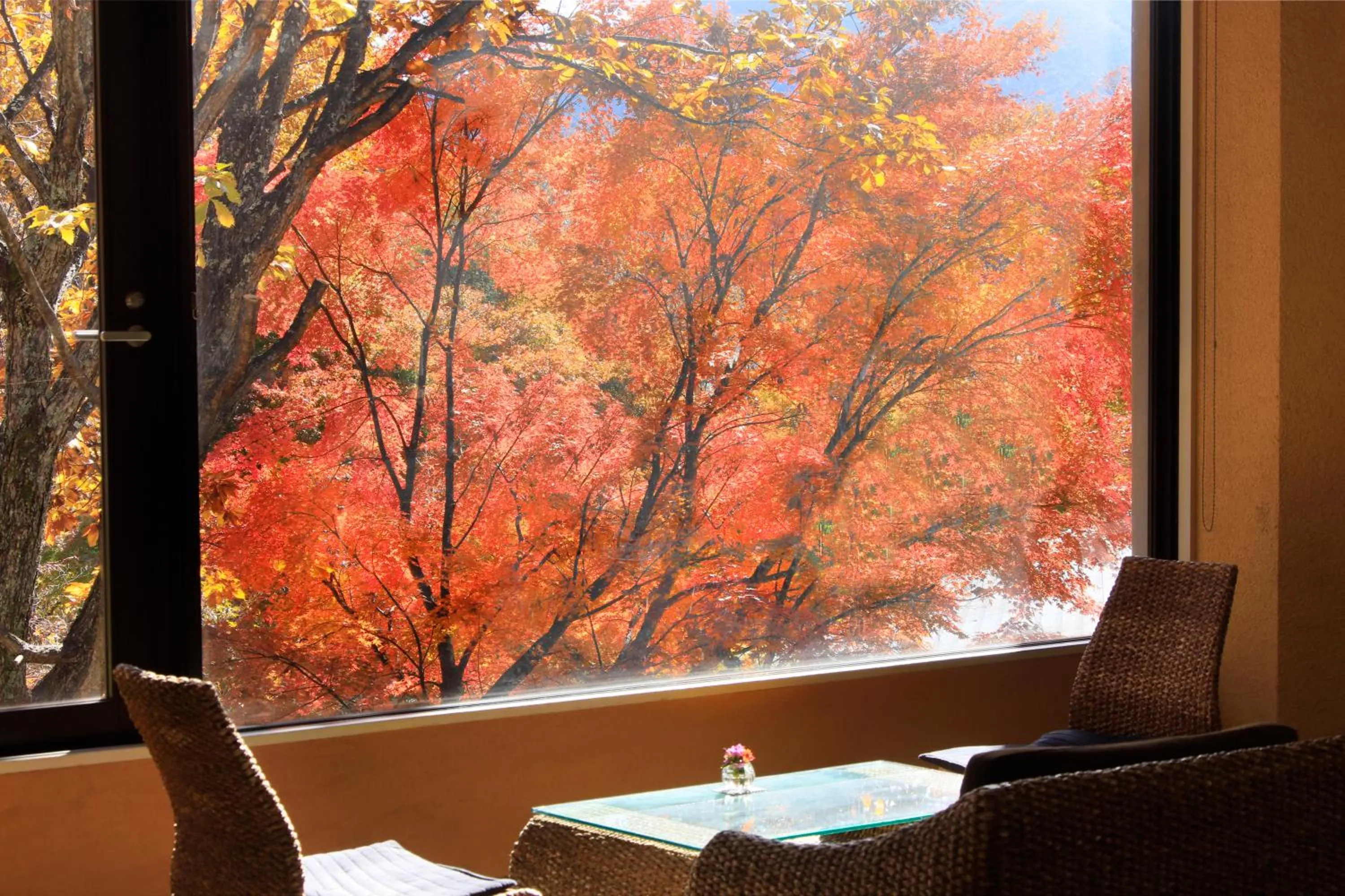 Communal lounge/ TV room in Hotel Shikisai